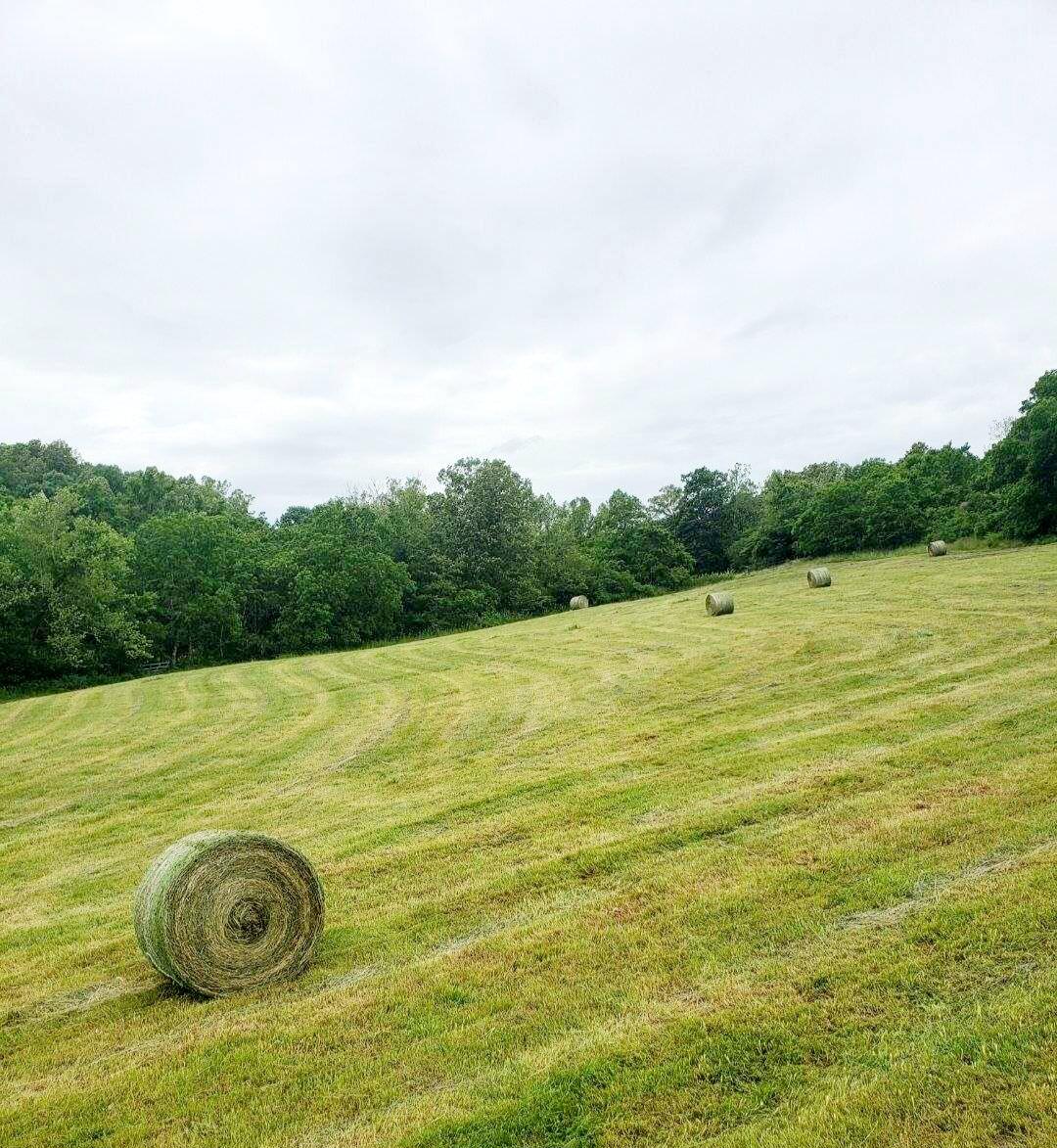 2670 County Road 132 Property Photo 4