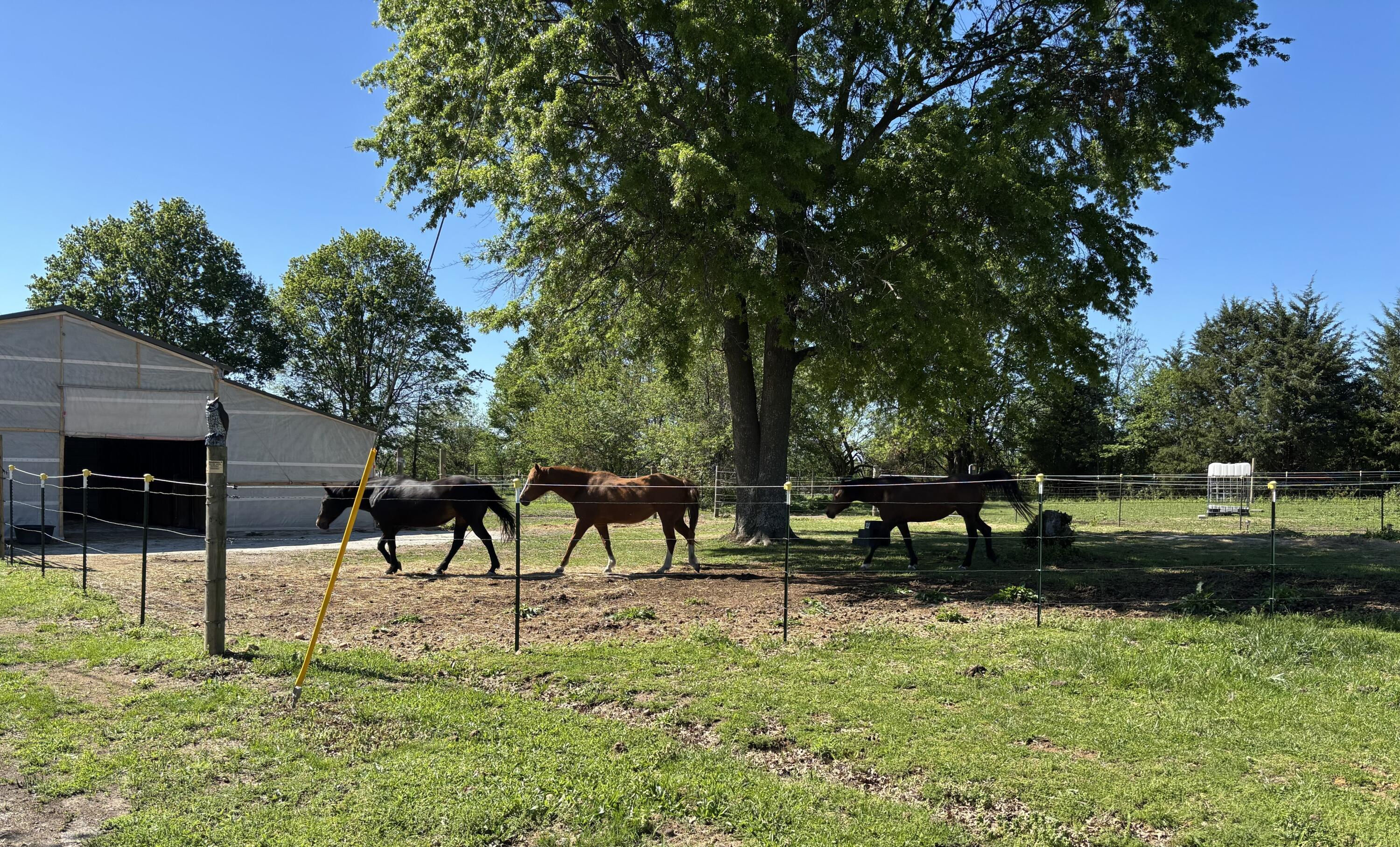 23951 State Highway Z Property Photo 22