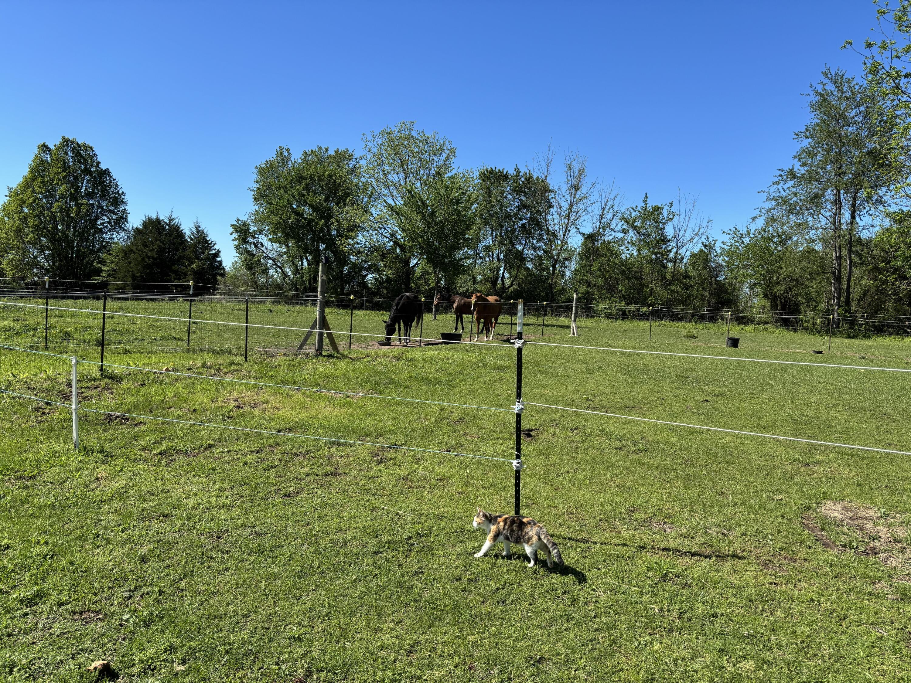 23951 State Highway Z Property Photo 31