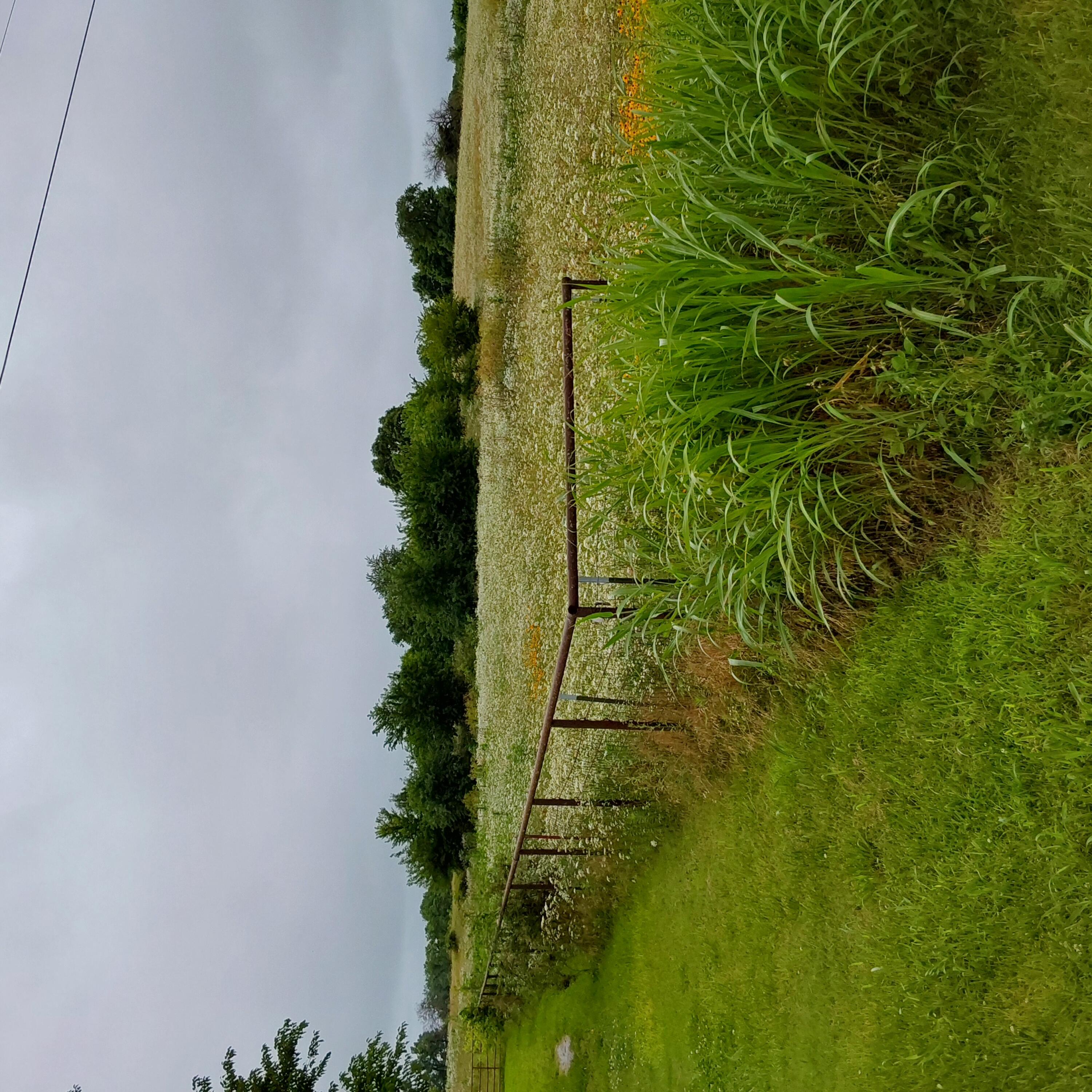 30647 Highway J Property Photo 3