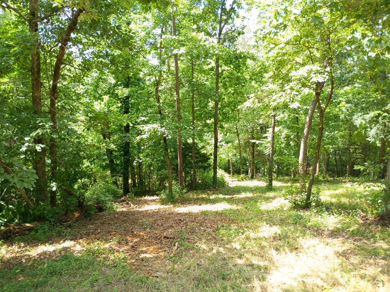 5161 State Highway H Property Photo 3