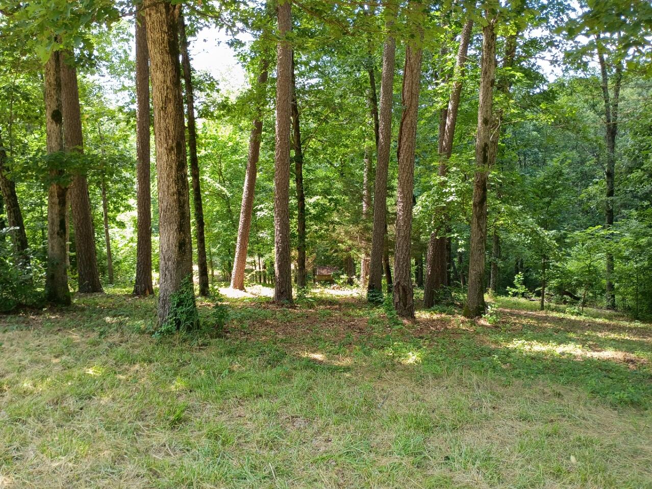 5161 State Highway H Property Photo 4