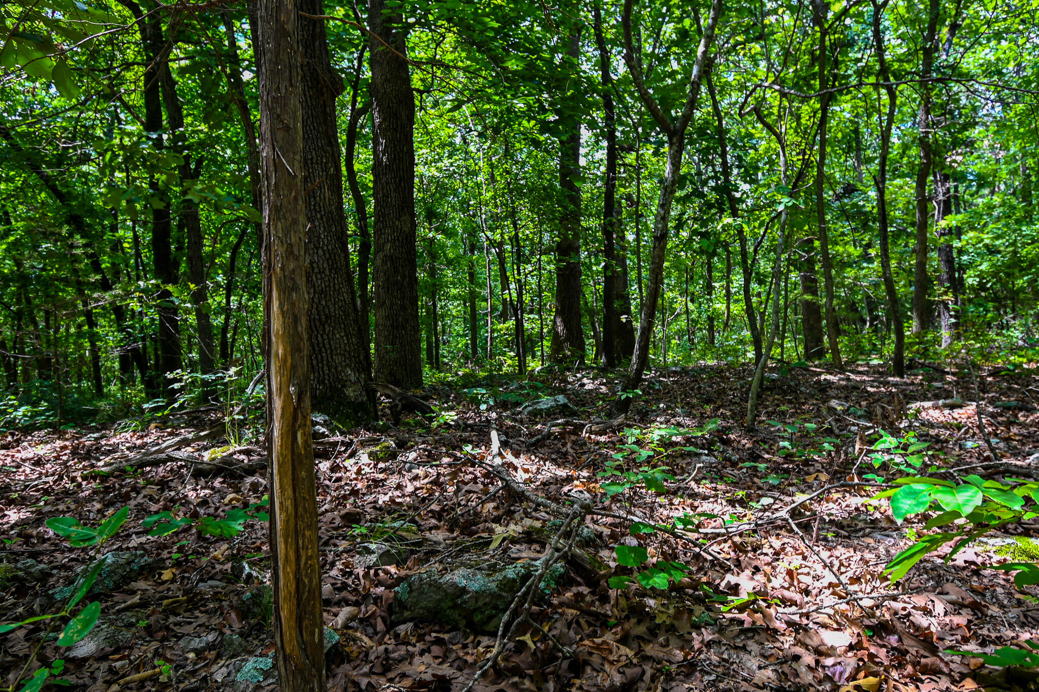 5760 Northeast 817 Pvt Road Property Photo 4