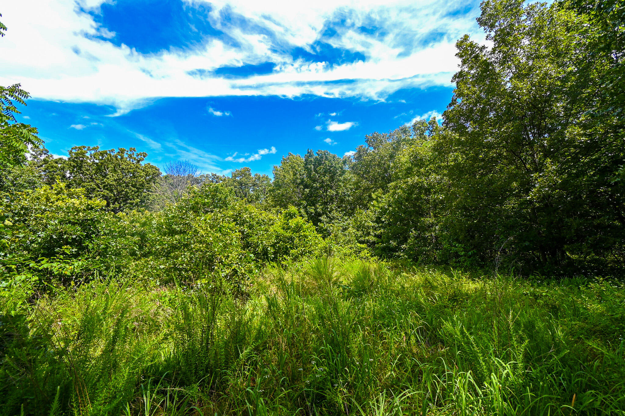 5760 Northeast 817 Pvt Road Property Photo 5
