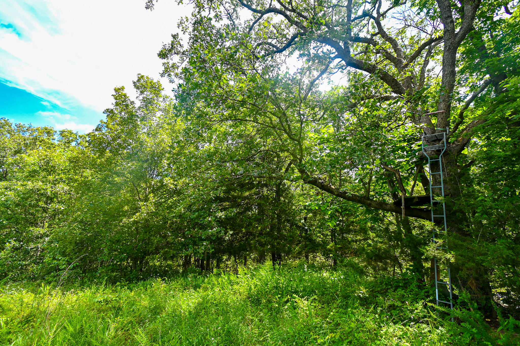 5760 Northeast 817 Pvt Road Property Photo 6
