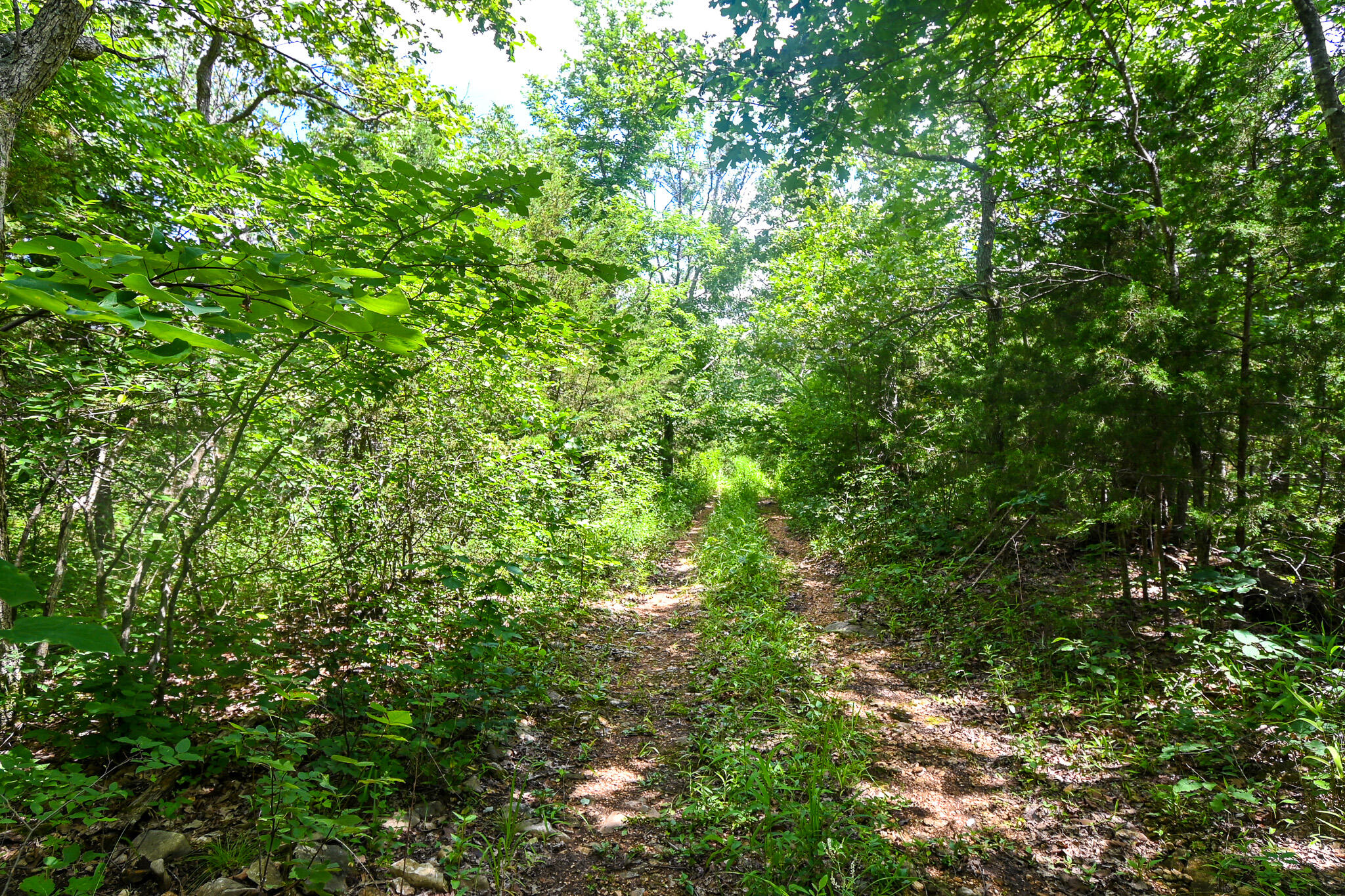 5760 Northeast 817 Pvt Road Property Photo 10