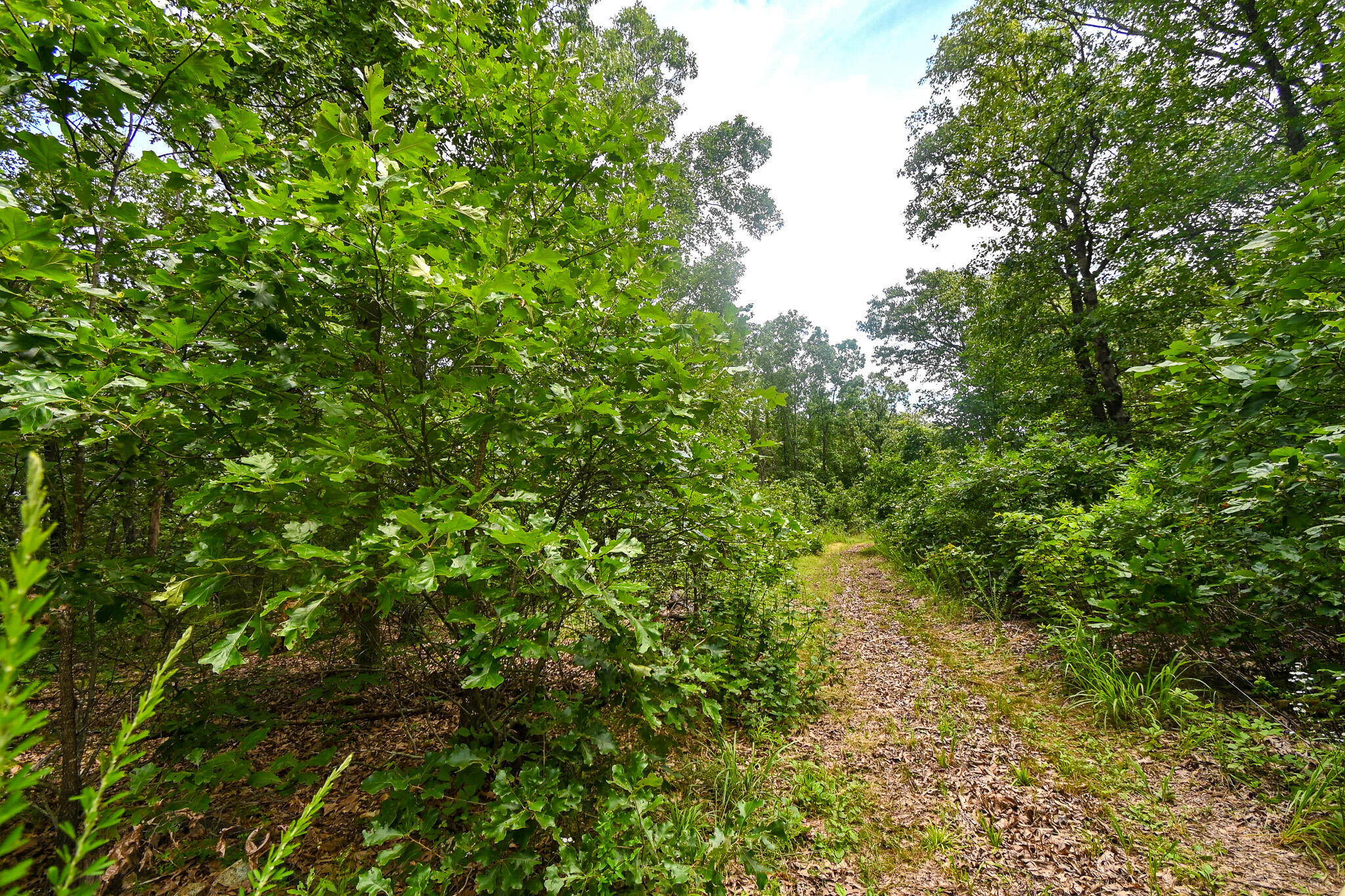 5760 Northeast 817 Pvt Road Property Photo 41