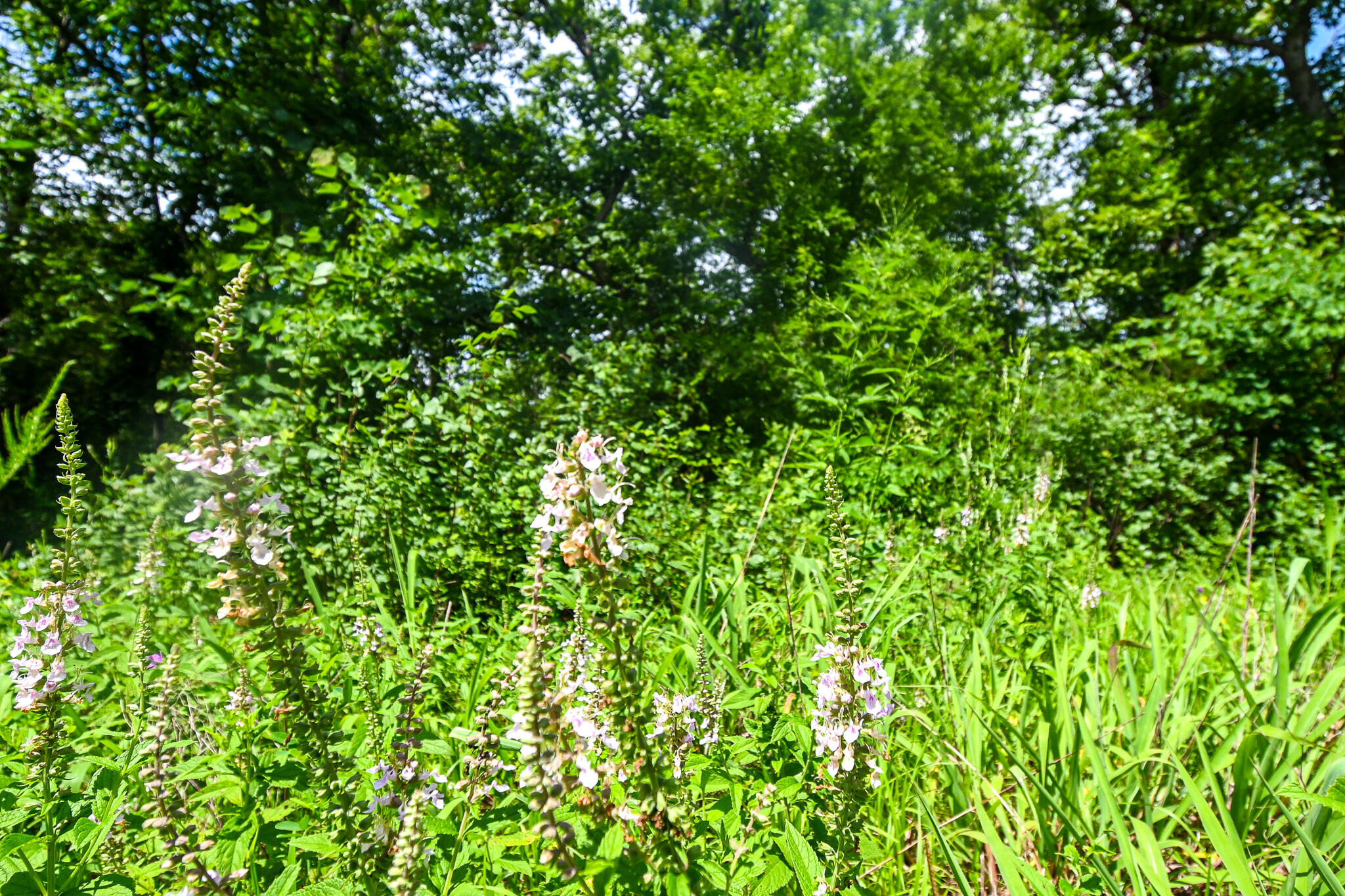 5760 Northeast 817 Pvt Road Property Photo 42