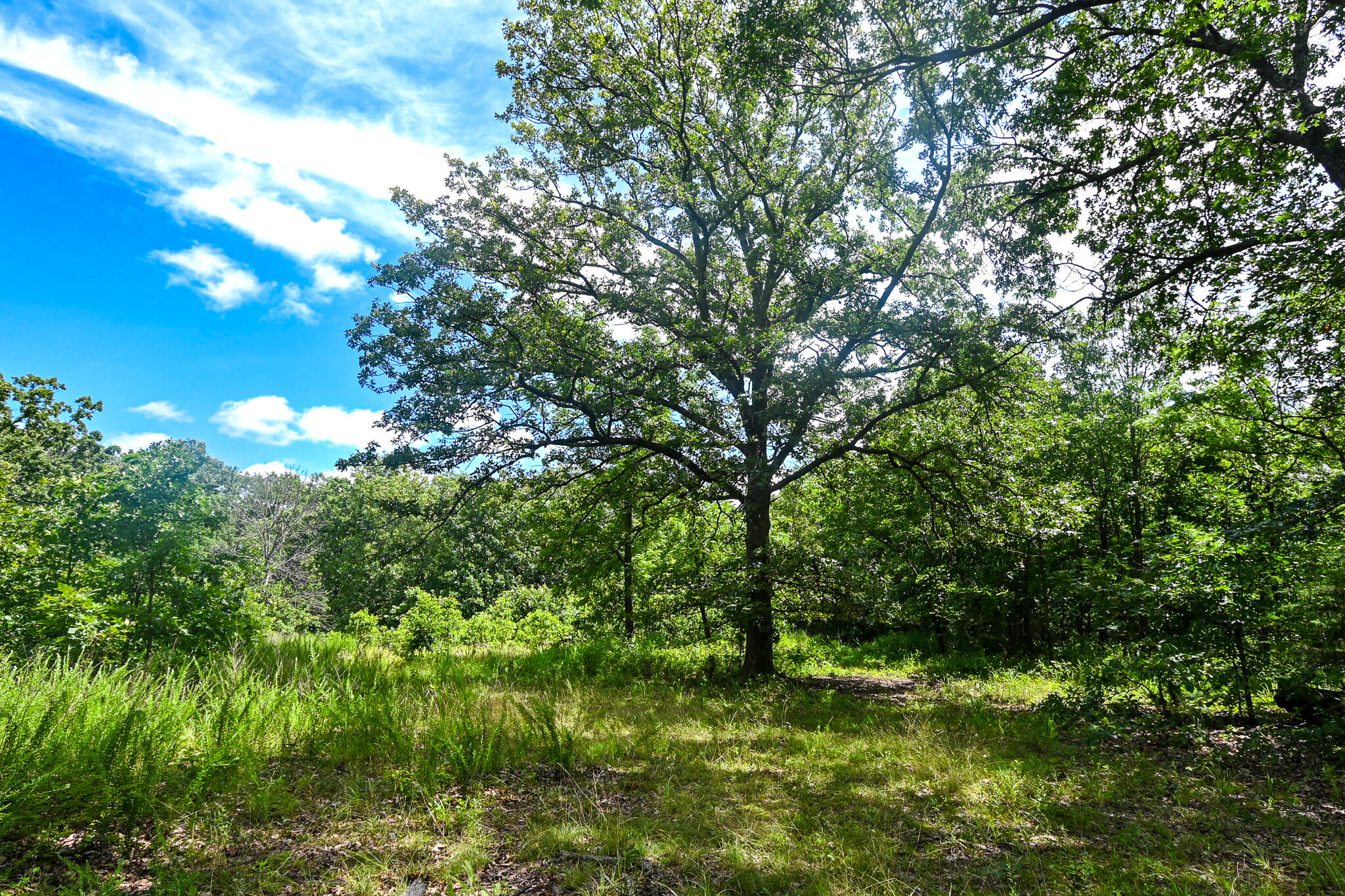 5760 Northeast 817 Pvt Road Property Photo 43