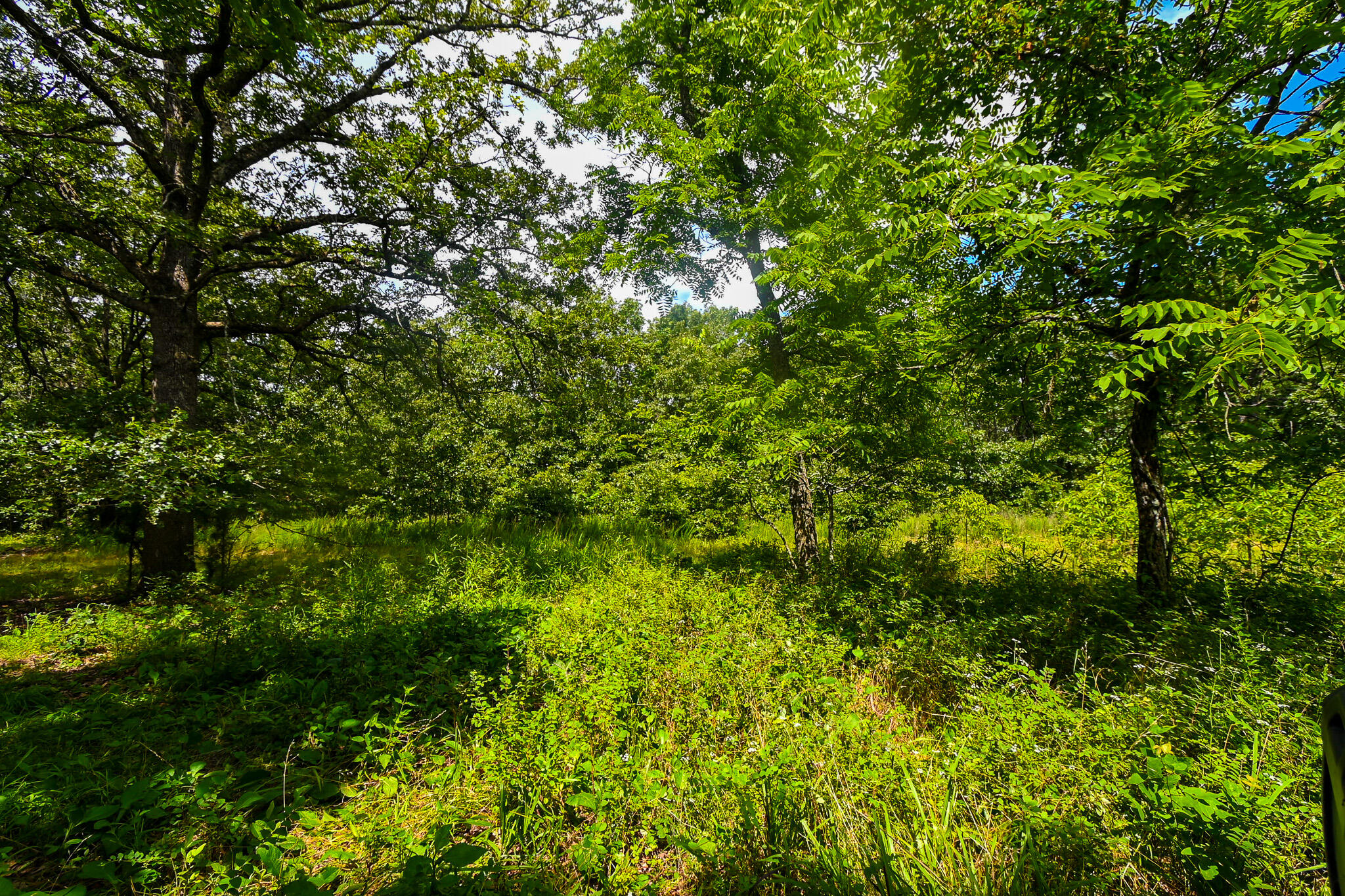 5760 Northeast 817 Pvt Road Property Photo 44