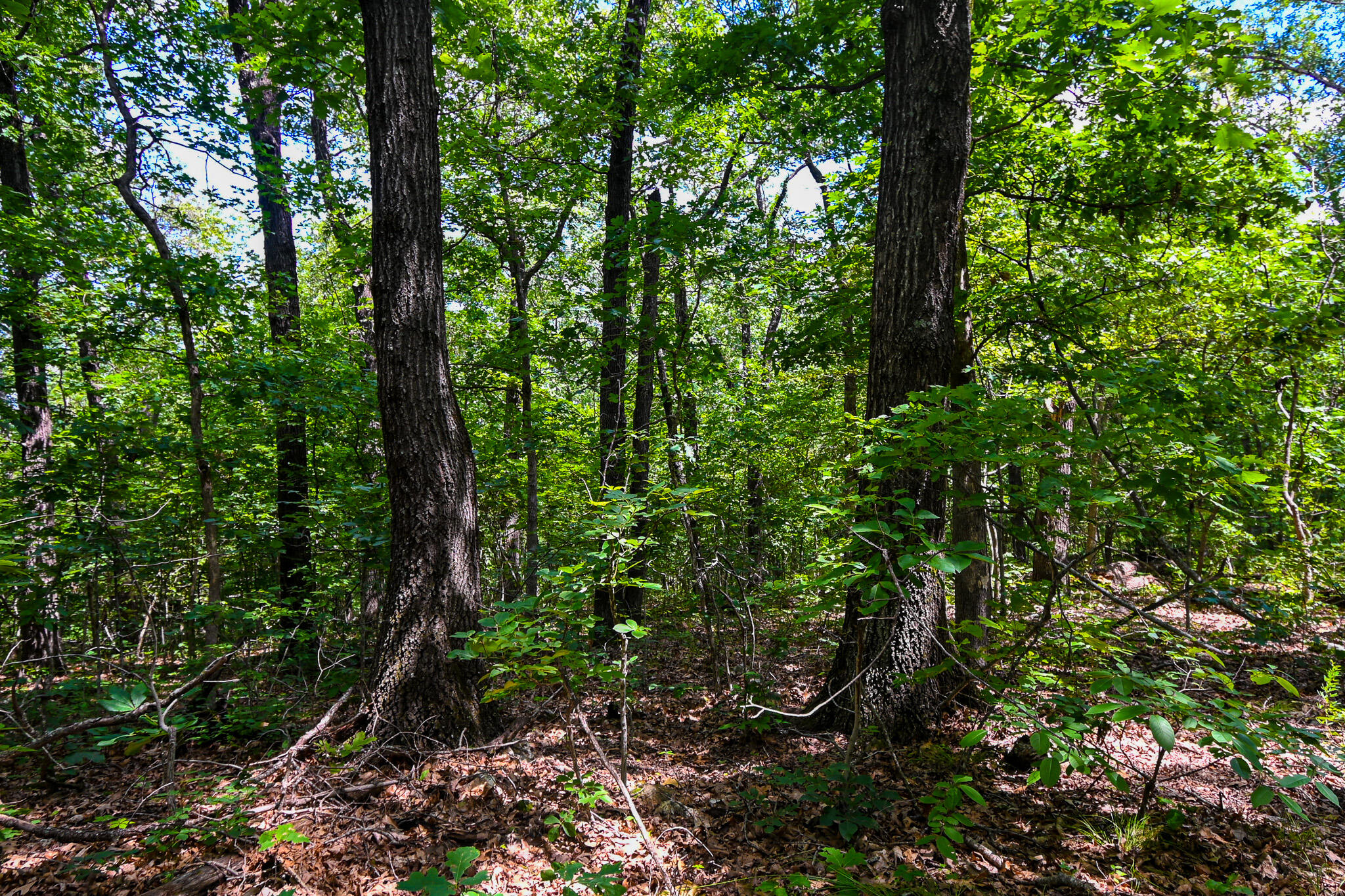 5760 Northeast 817 Pvt Road Property Photo 45