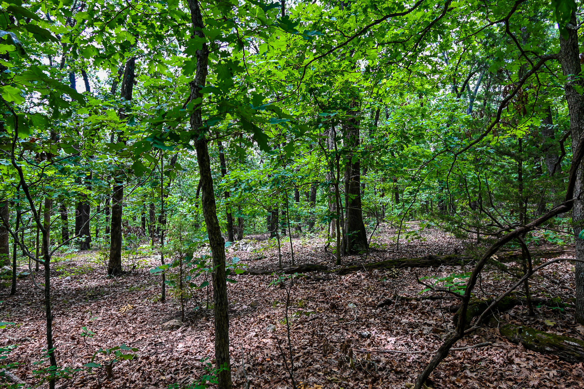5760 Northeast 817 Pvt Road Property Photo 47