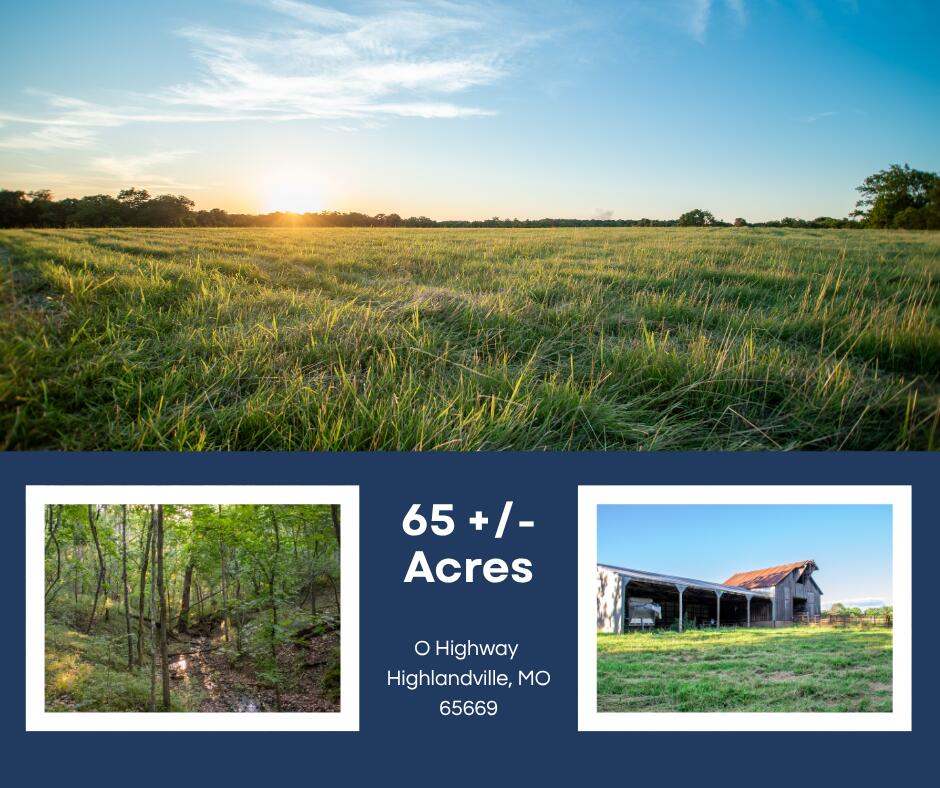 000 State Highway O Property Photo 1