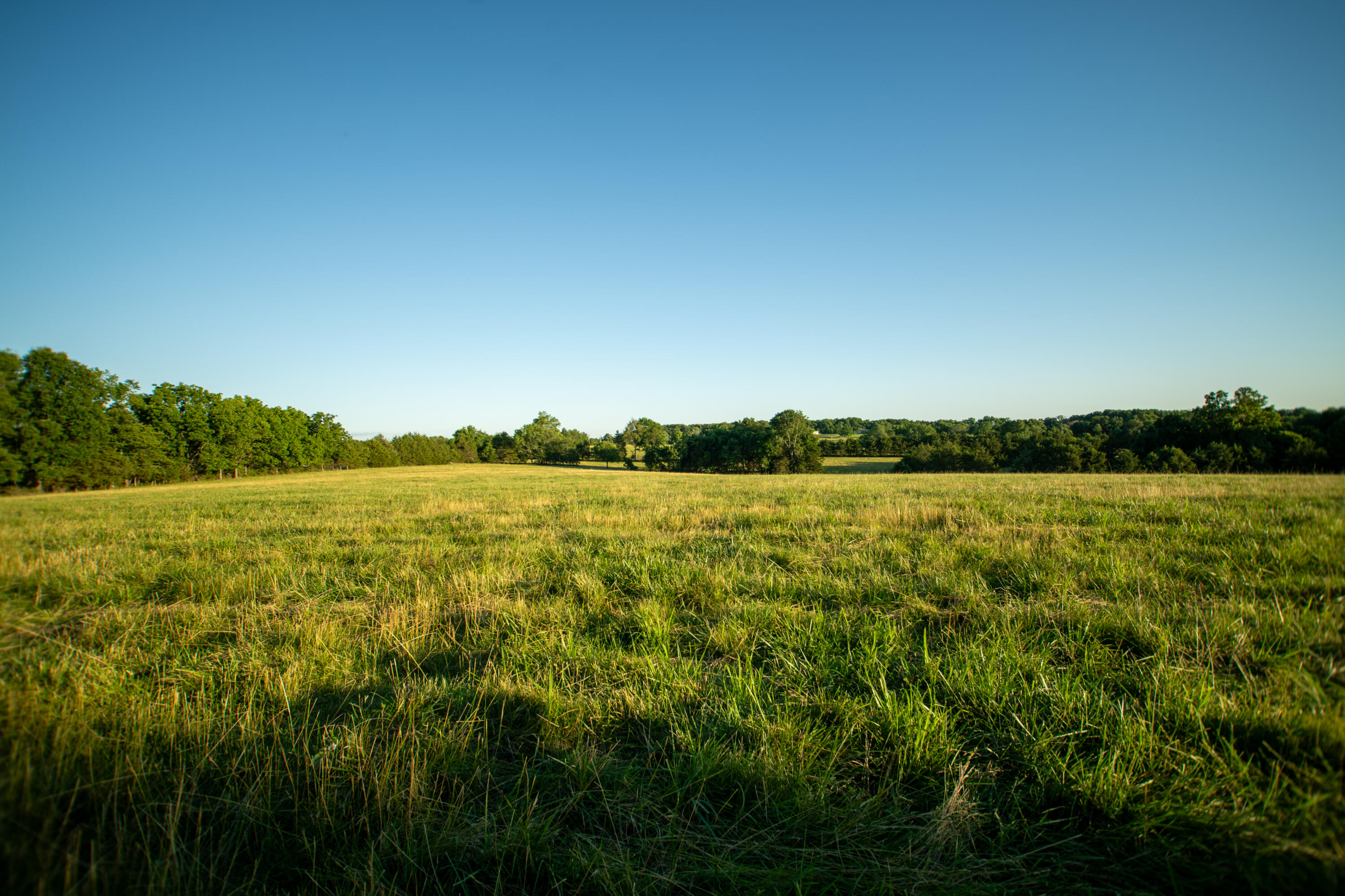 000 State Highway O Property Photo 9