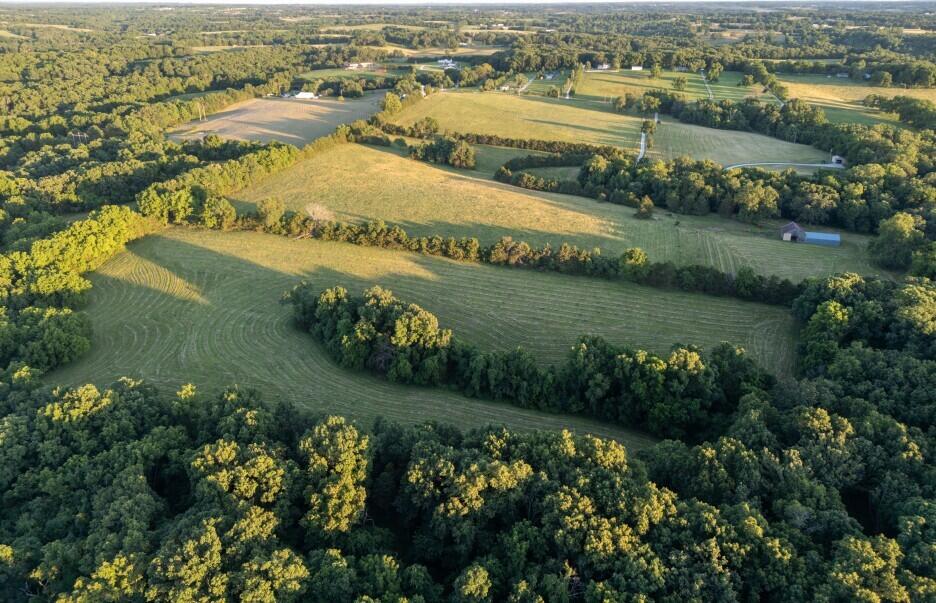 000 State Highway O Property Photo 16