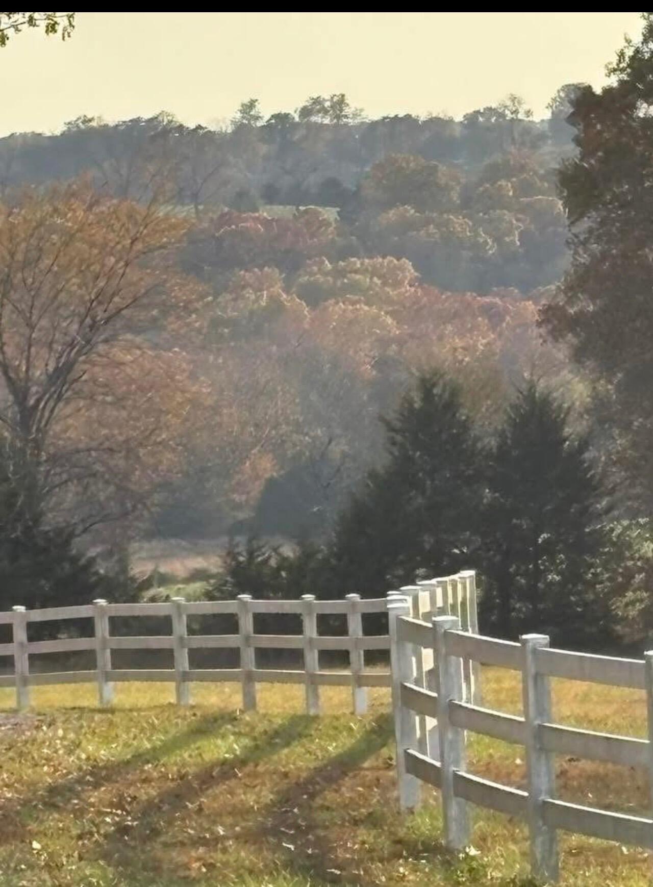 2115 Garrison Cutoff Road Property Photo 60