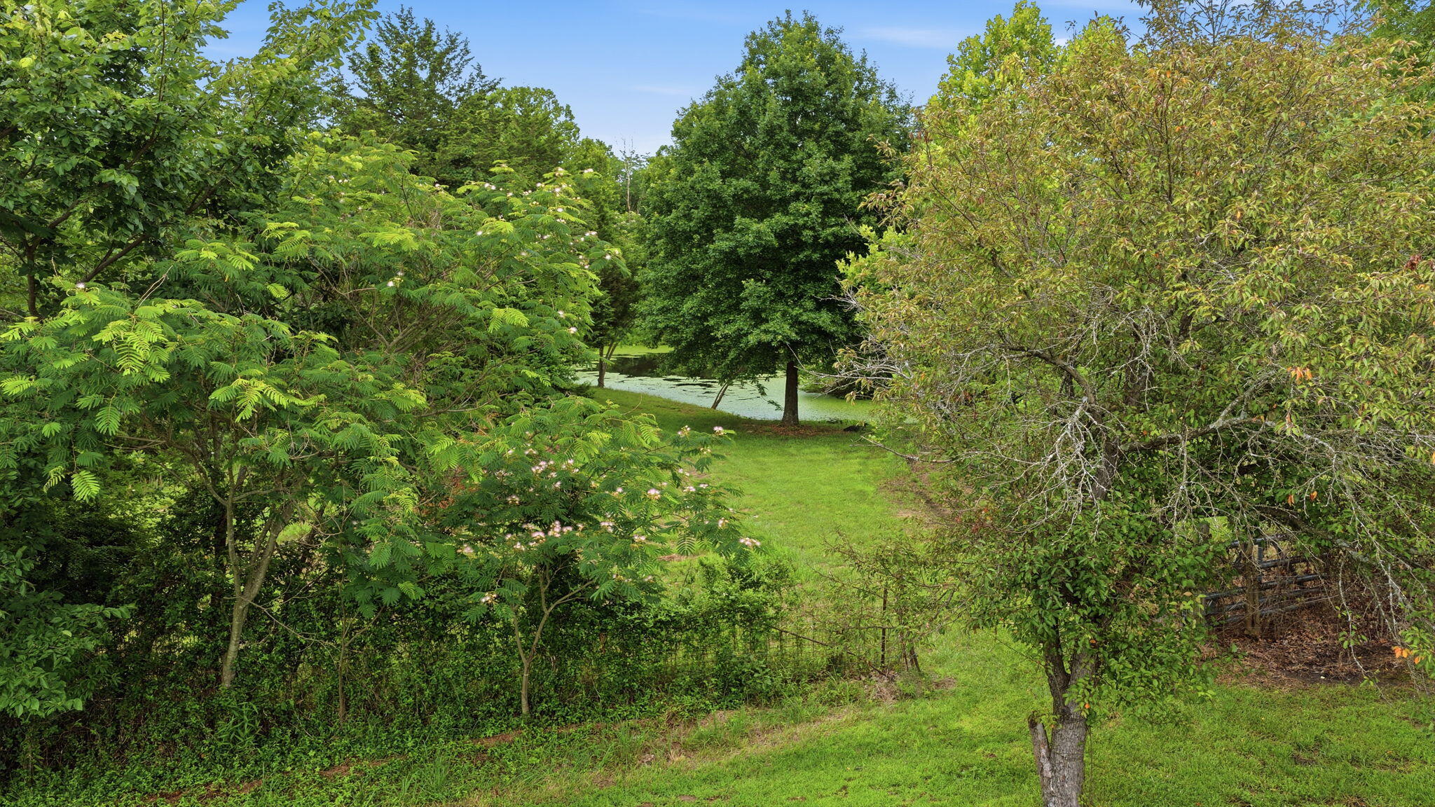 6815 Us-54 Property Photo 42