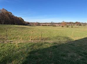 10916 Blue Bird Road Property Photo 6