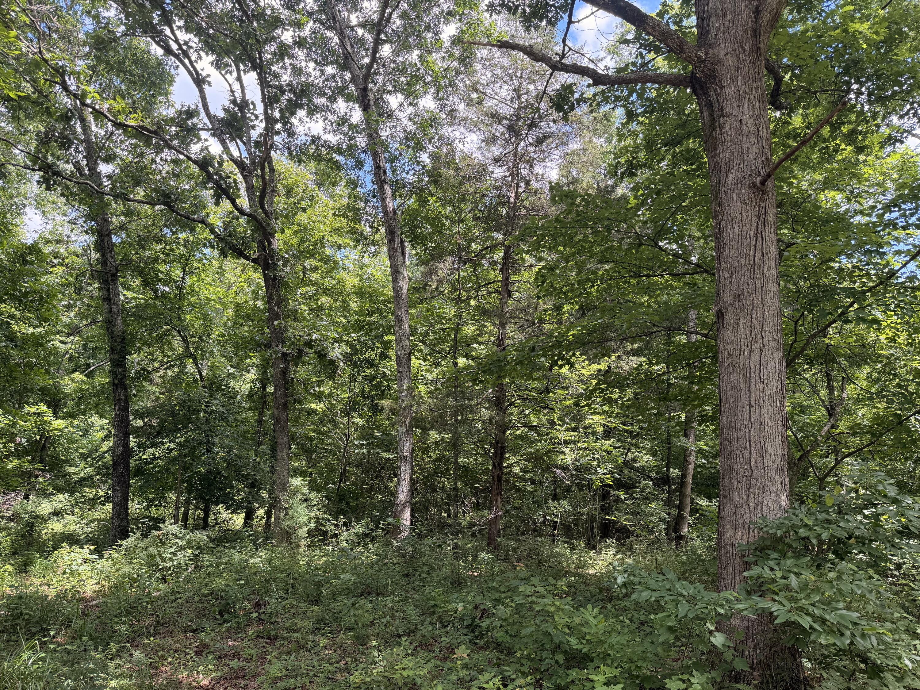 000 Forest Service Road Property Photo 1