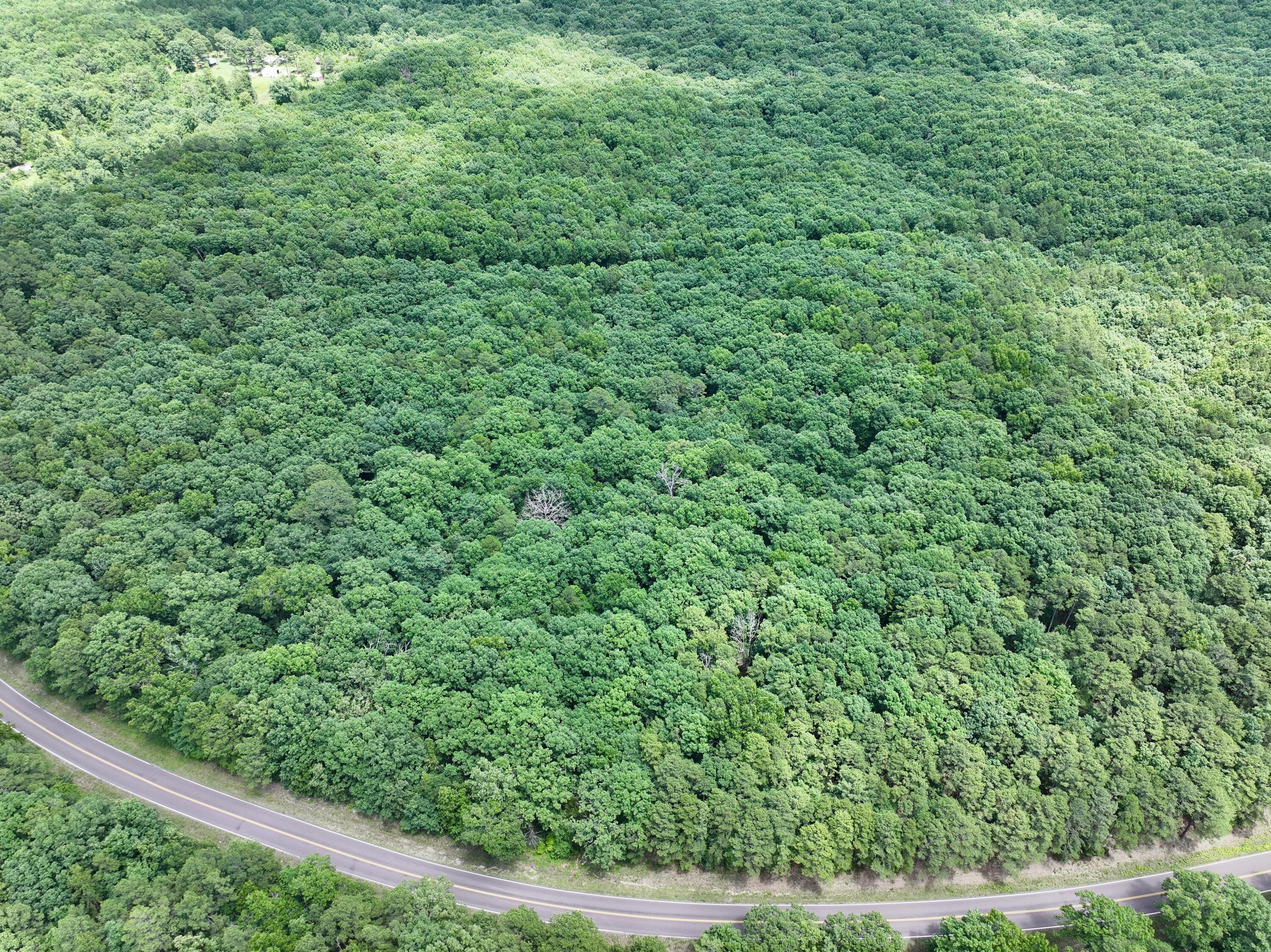 000 Forest Service Road Property Photo 3