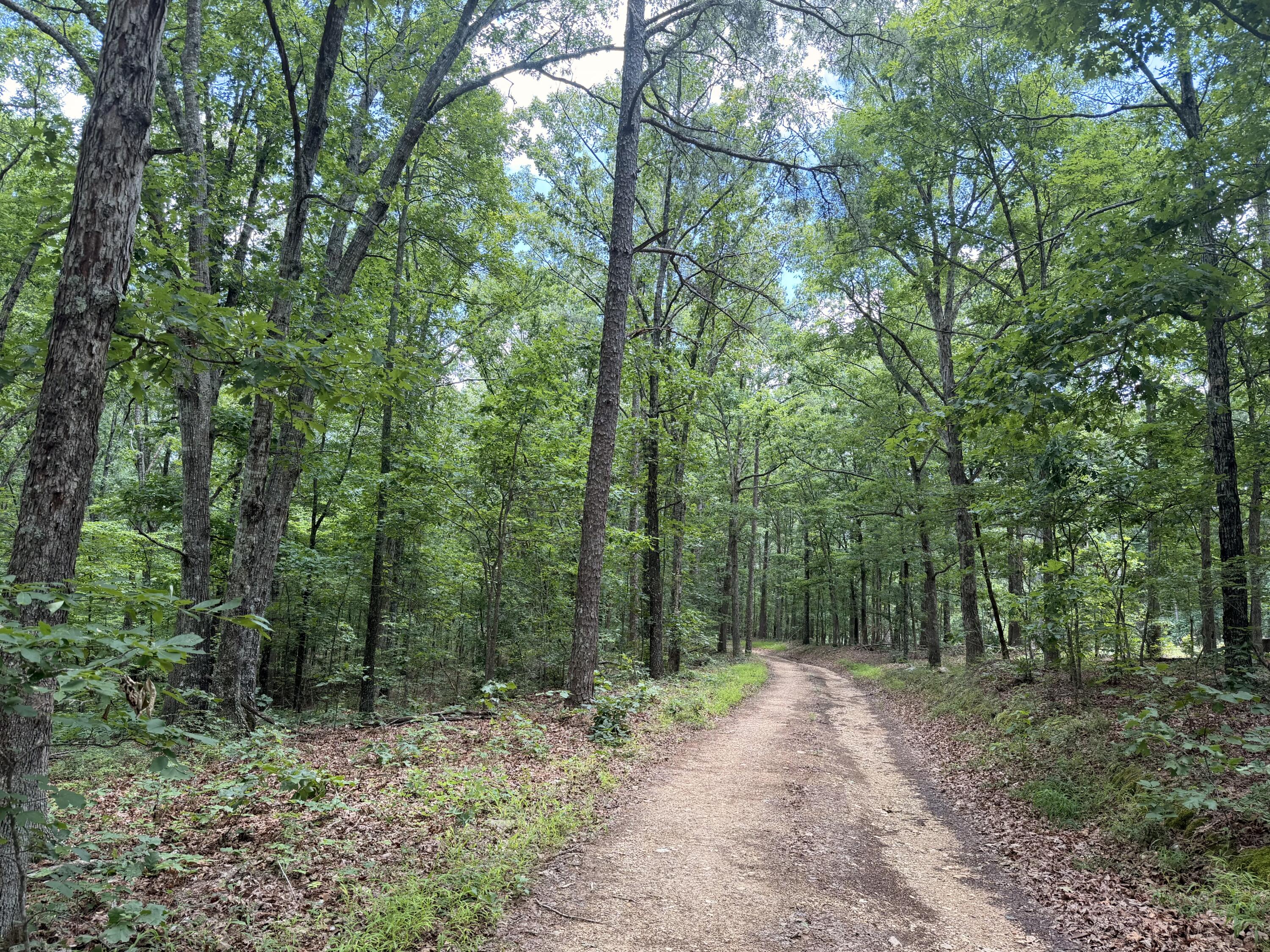 000 Forest Service Road Property Photo 4