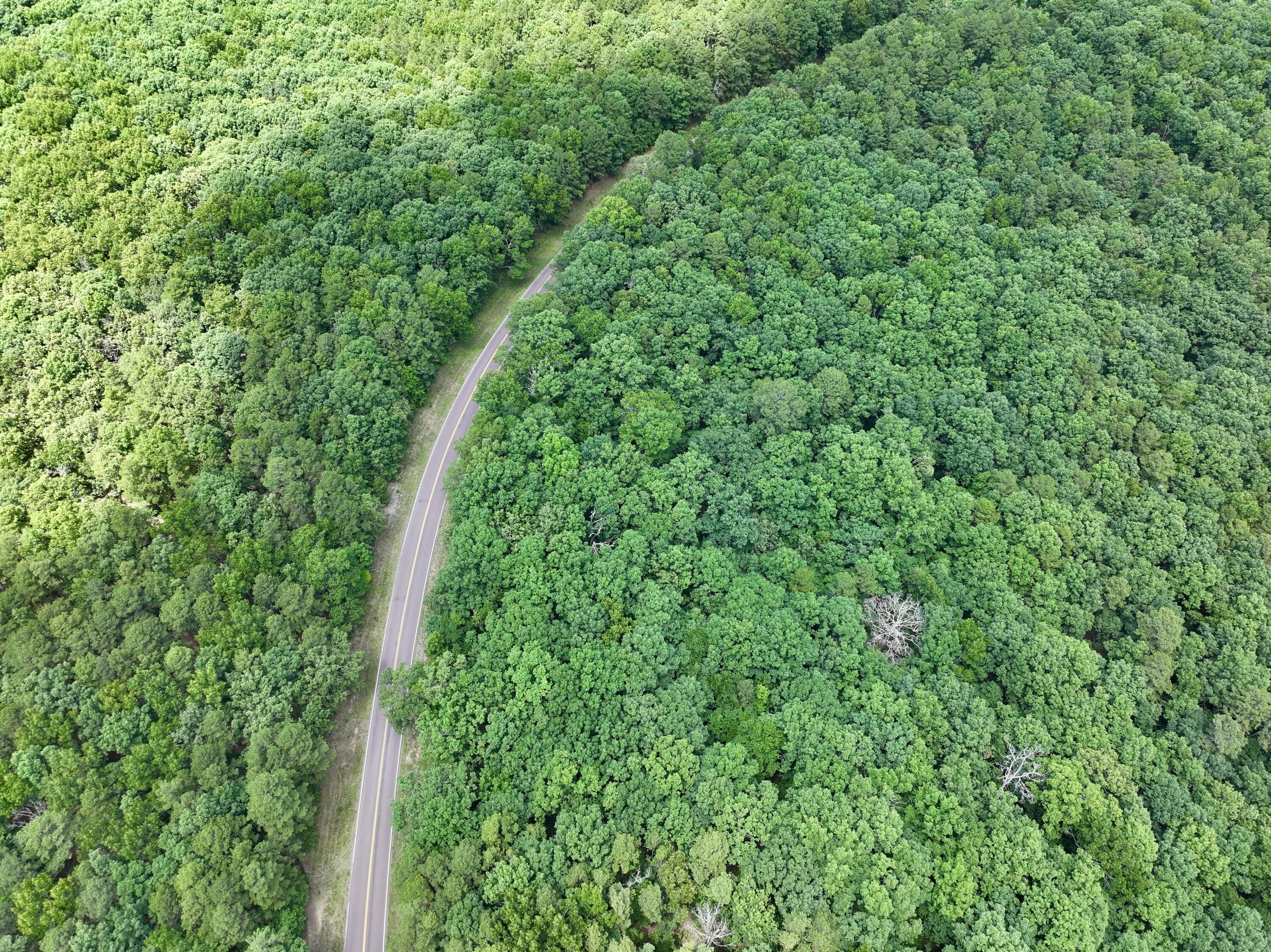 000 Forest Service Road Property Photo 9