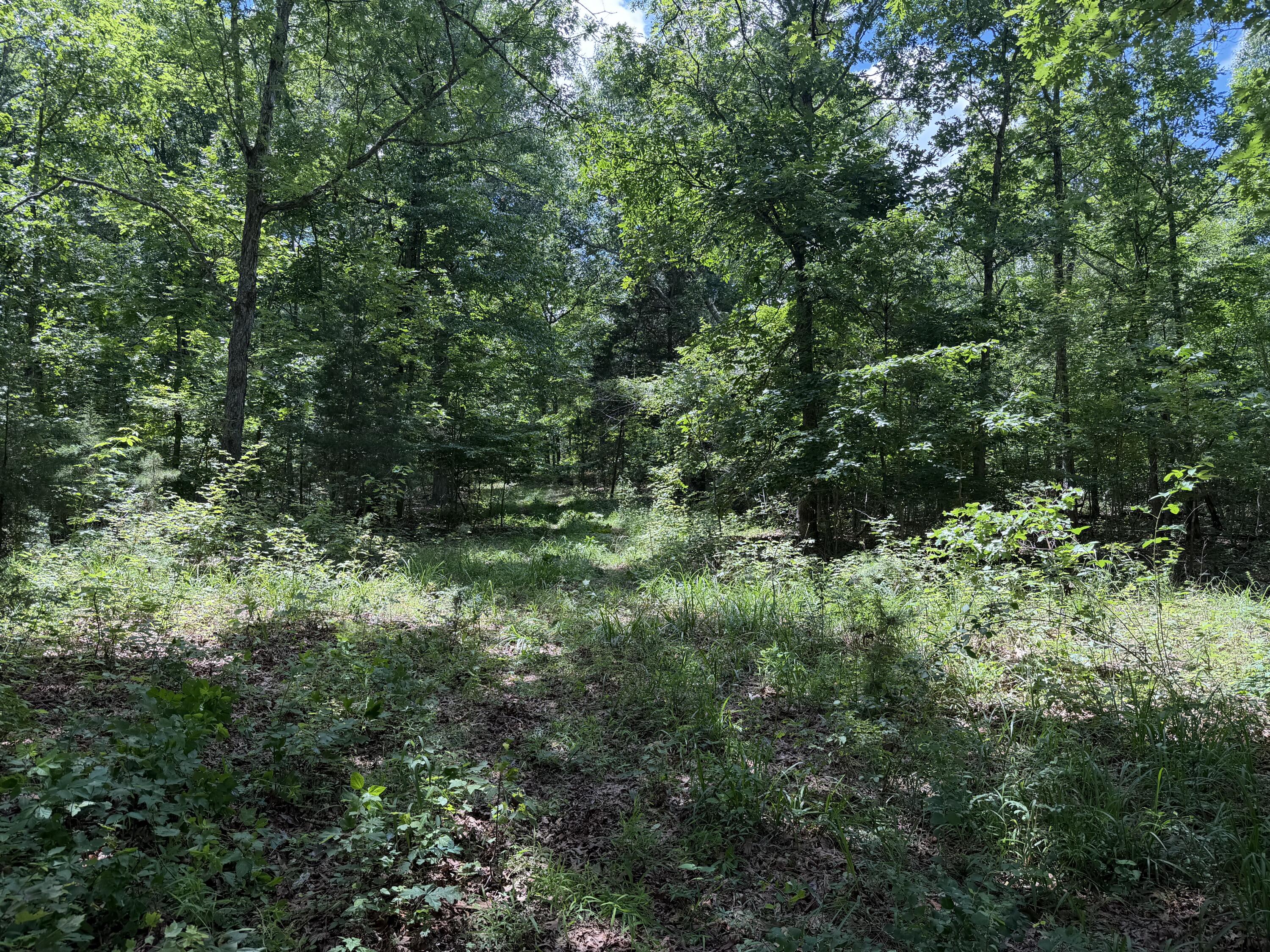000 Forest Service Road Property Photo 13