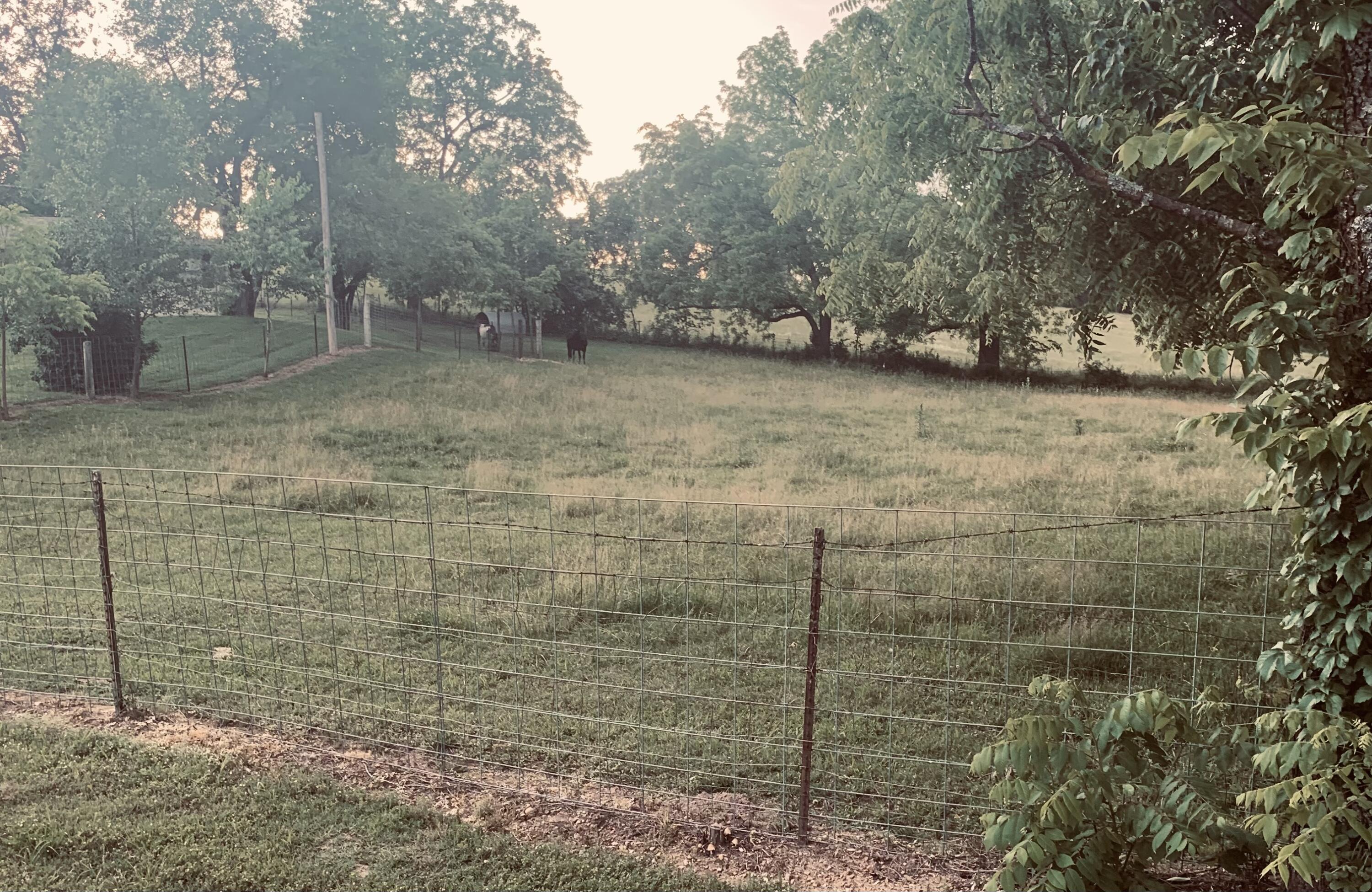 8675 South State Highway 5 Property Photo 30