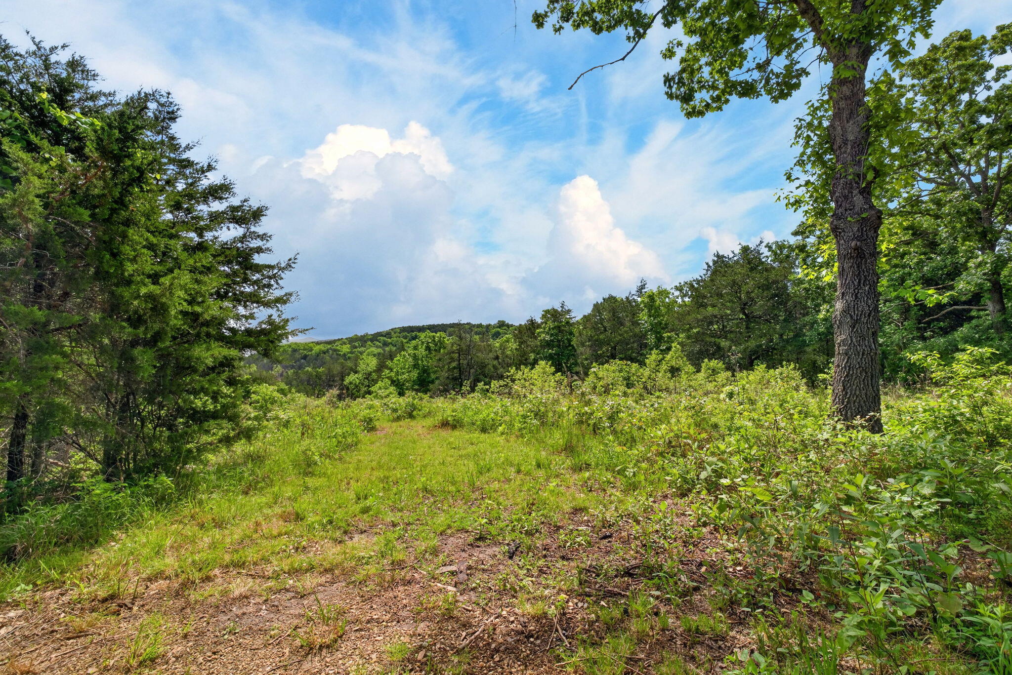226 Ledgestone Road Property Photo 28