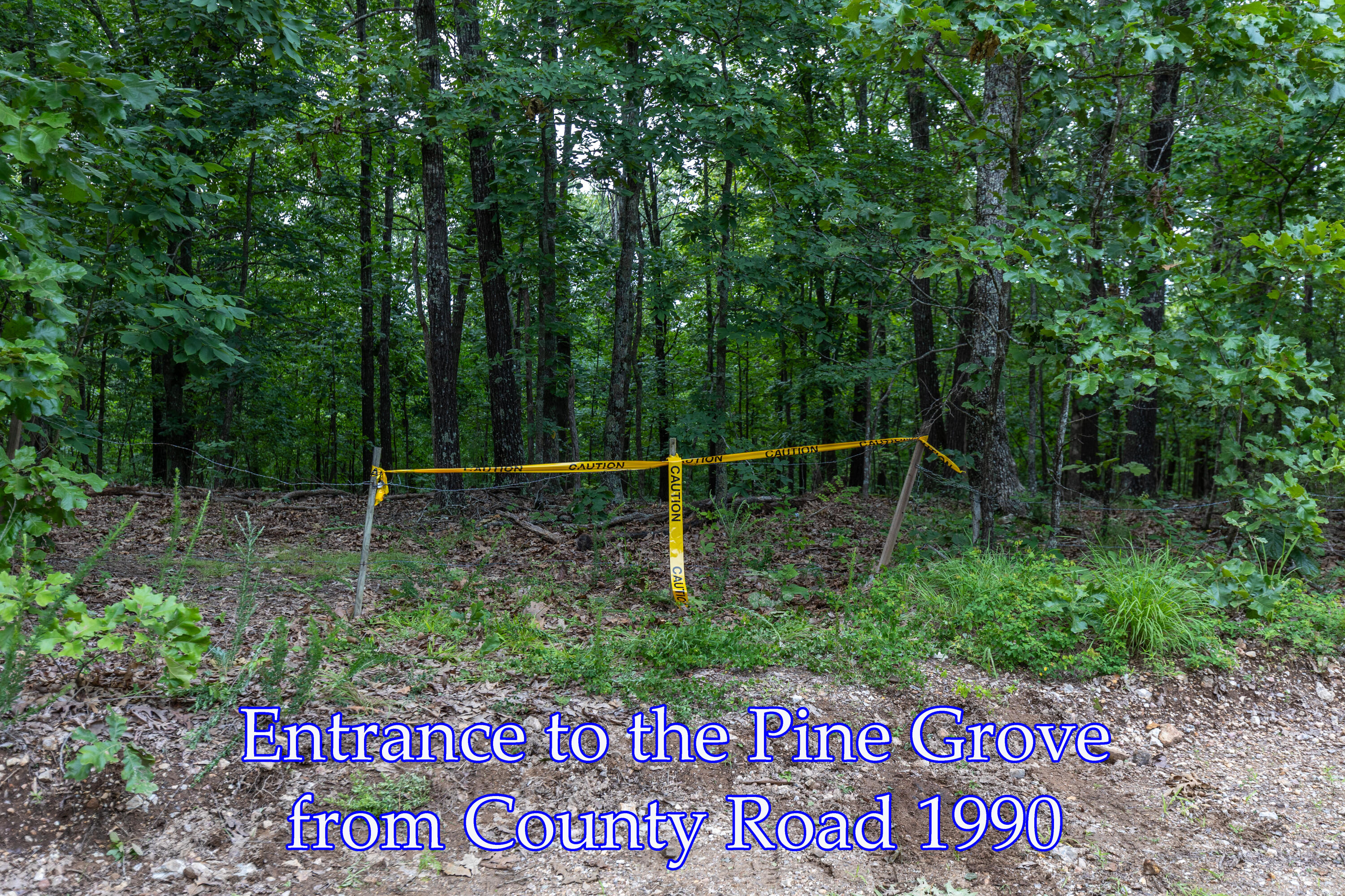 000 County Road 1990 Property Photo 10