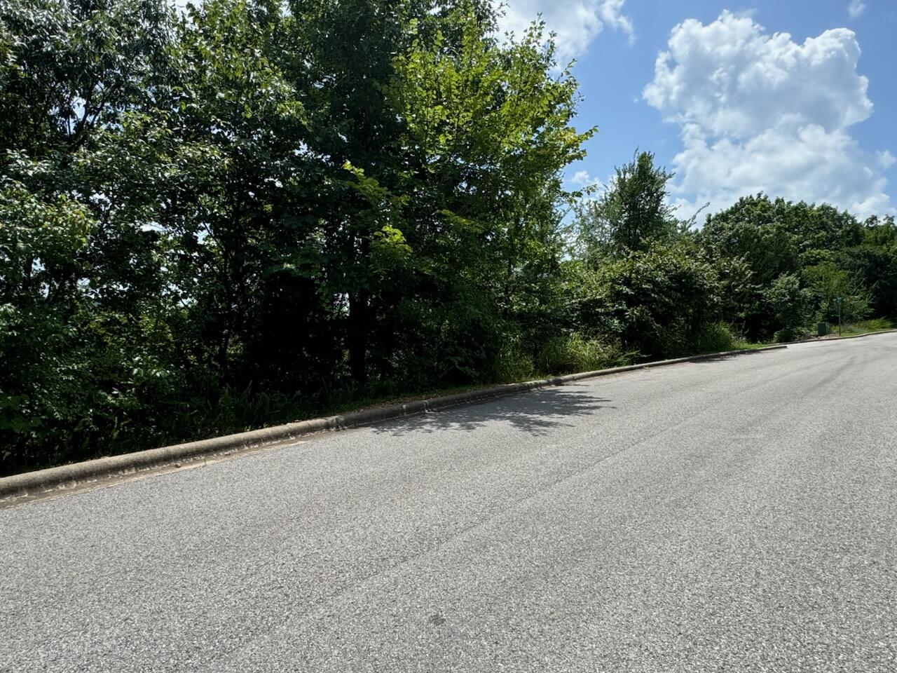 204 - Crescent Drive (lot 204) Property Photo 5