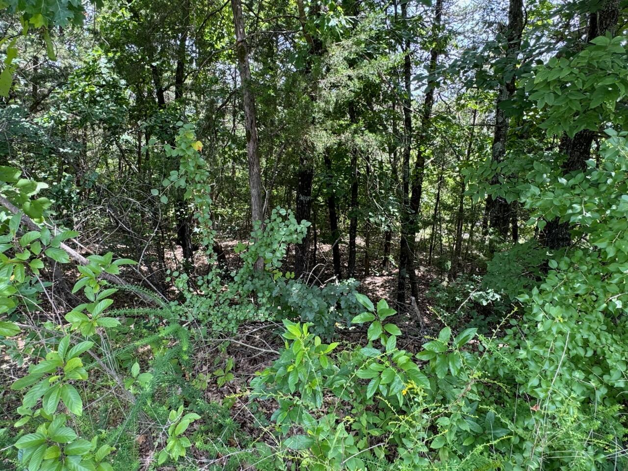 204 - Crescent Drive (lot 204) Property Photo 6