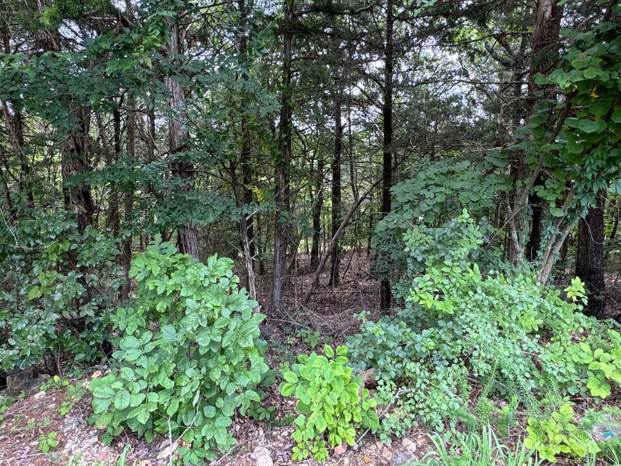 204 - Crescent Drive (lot 204) Property Photo 7