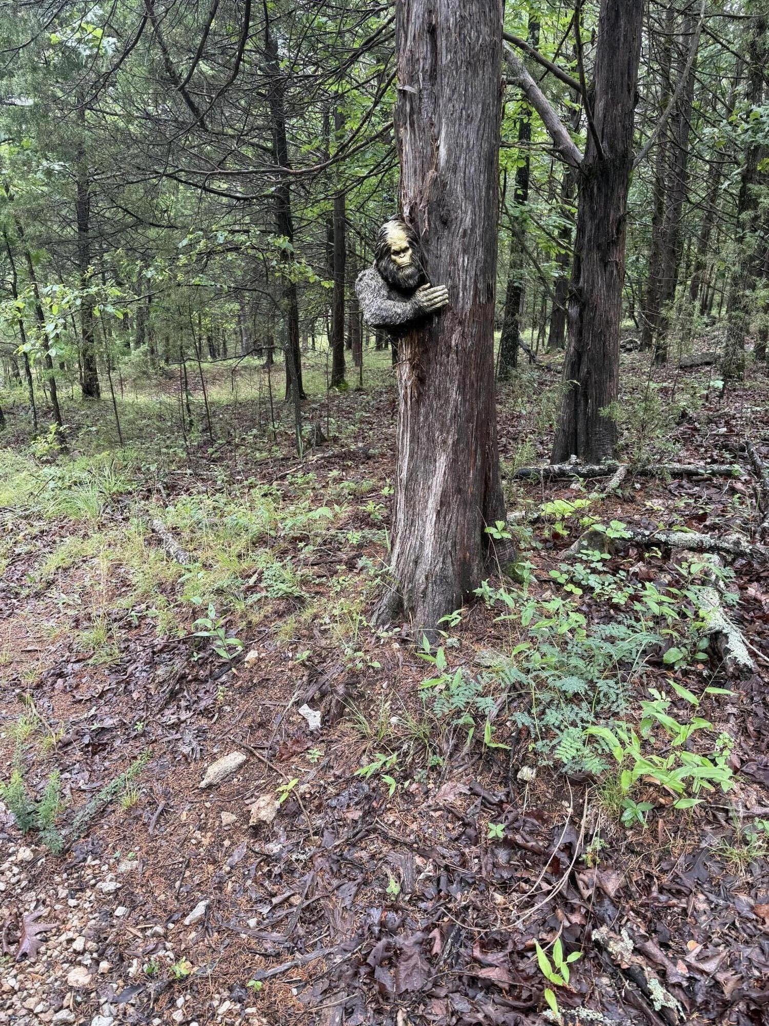 2115 Garrison Cutoff Road Property Photo 5