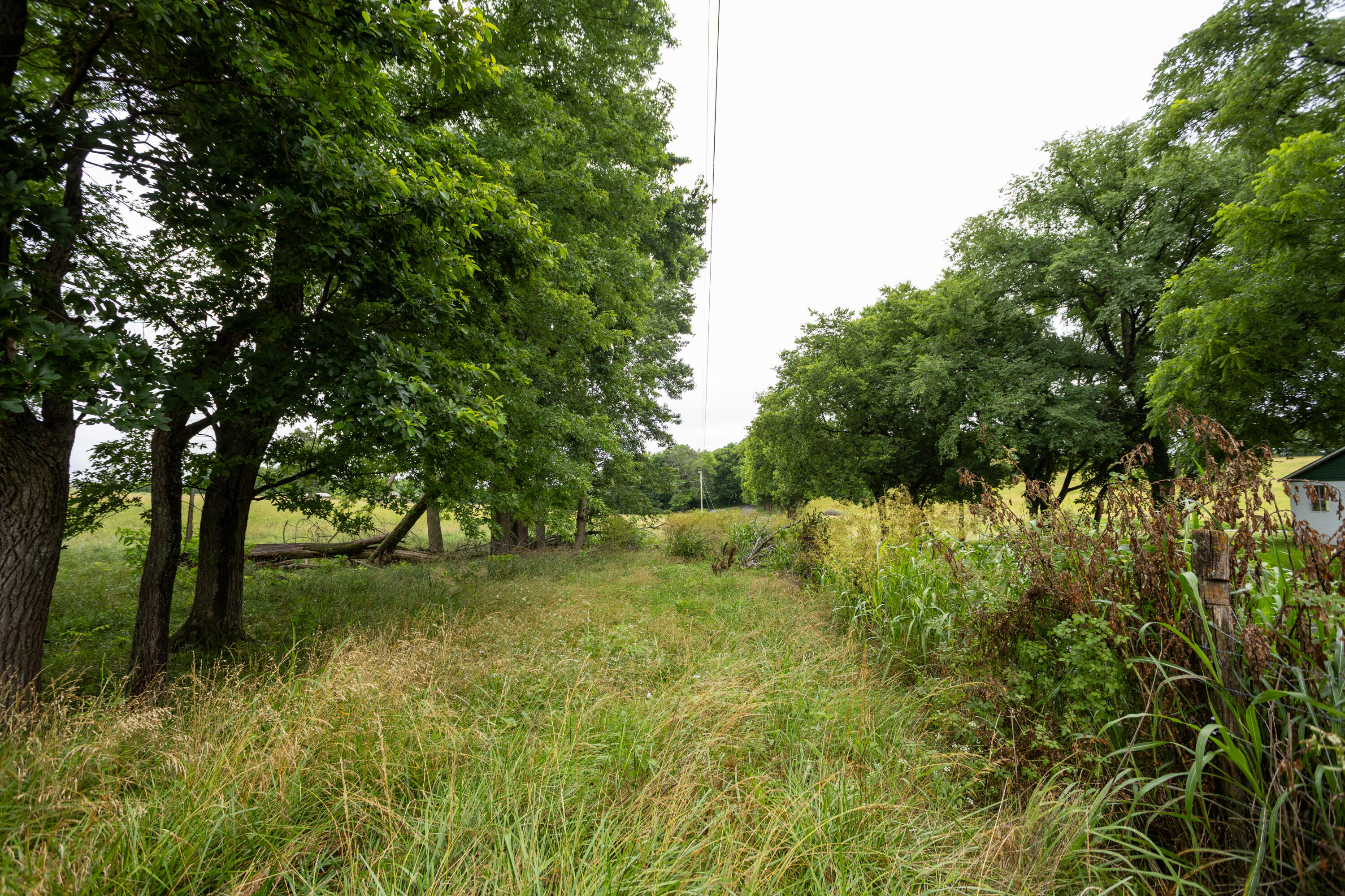 Tract 2 Fraizer Road Property Photo 16