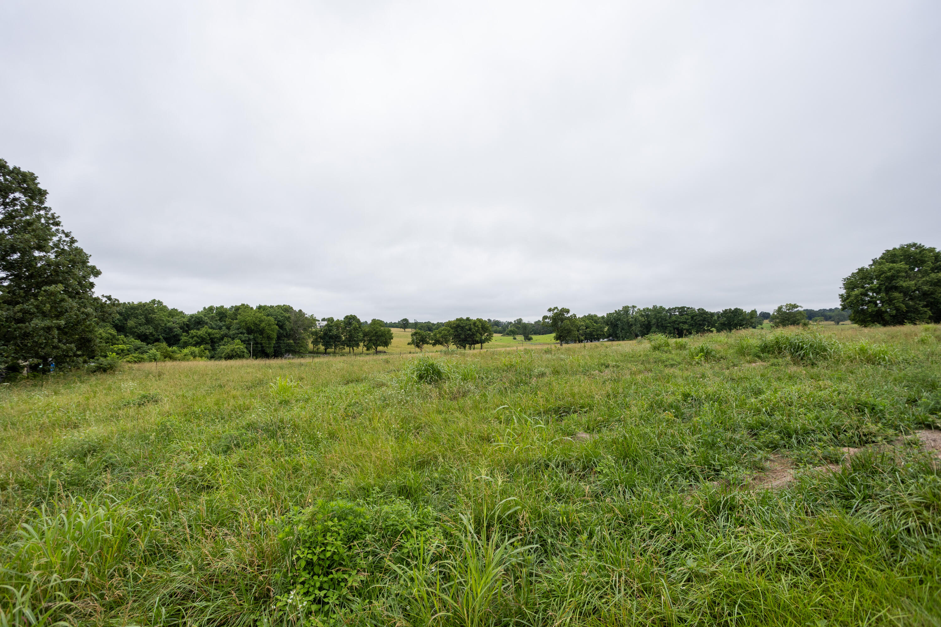 Tract 3 Fraizer Road Property Photo 10
