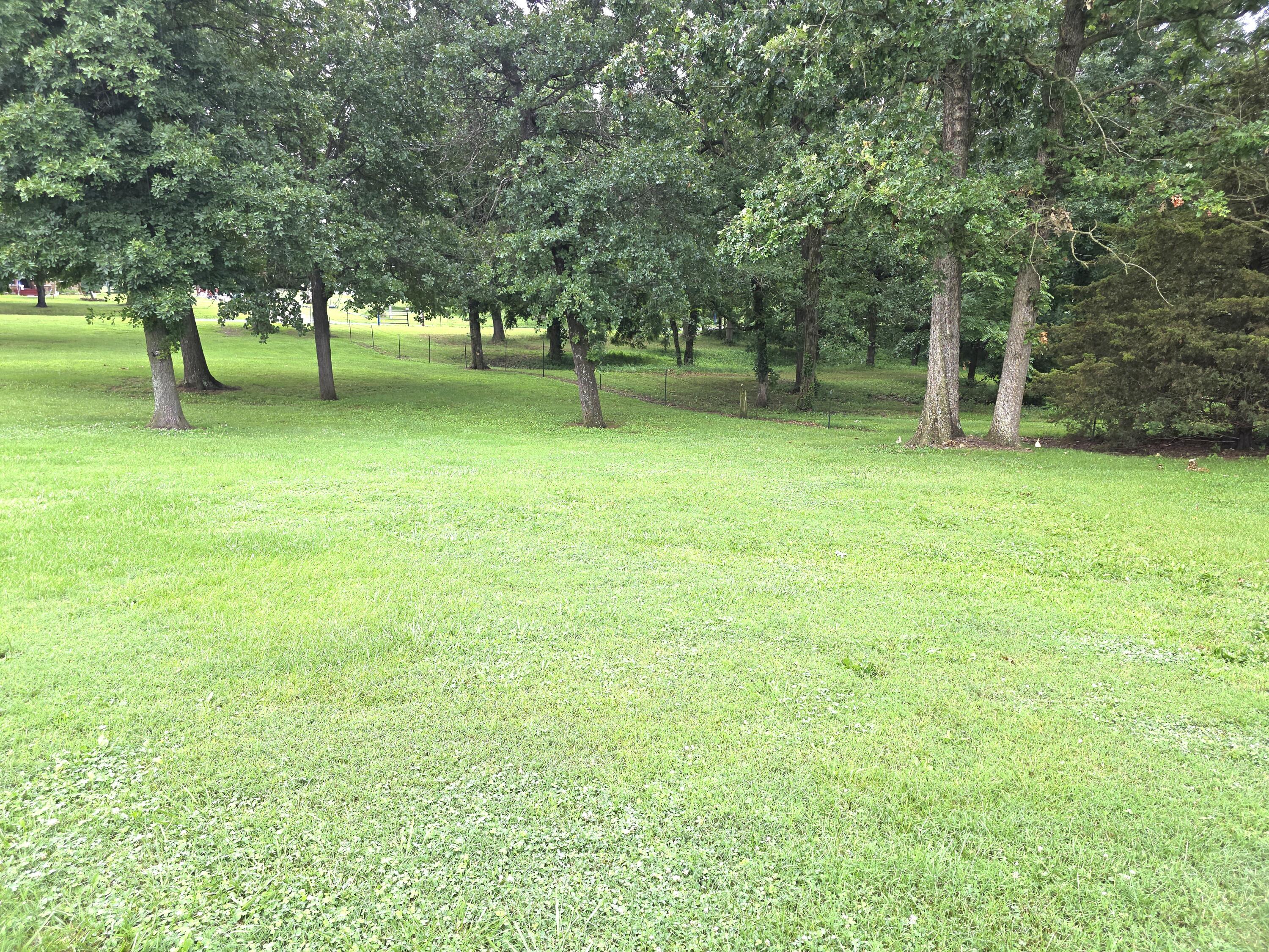 10144 Vixen Road Property Photo 23