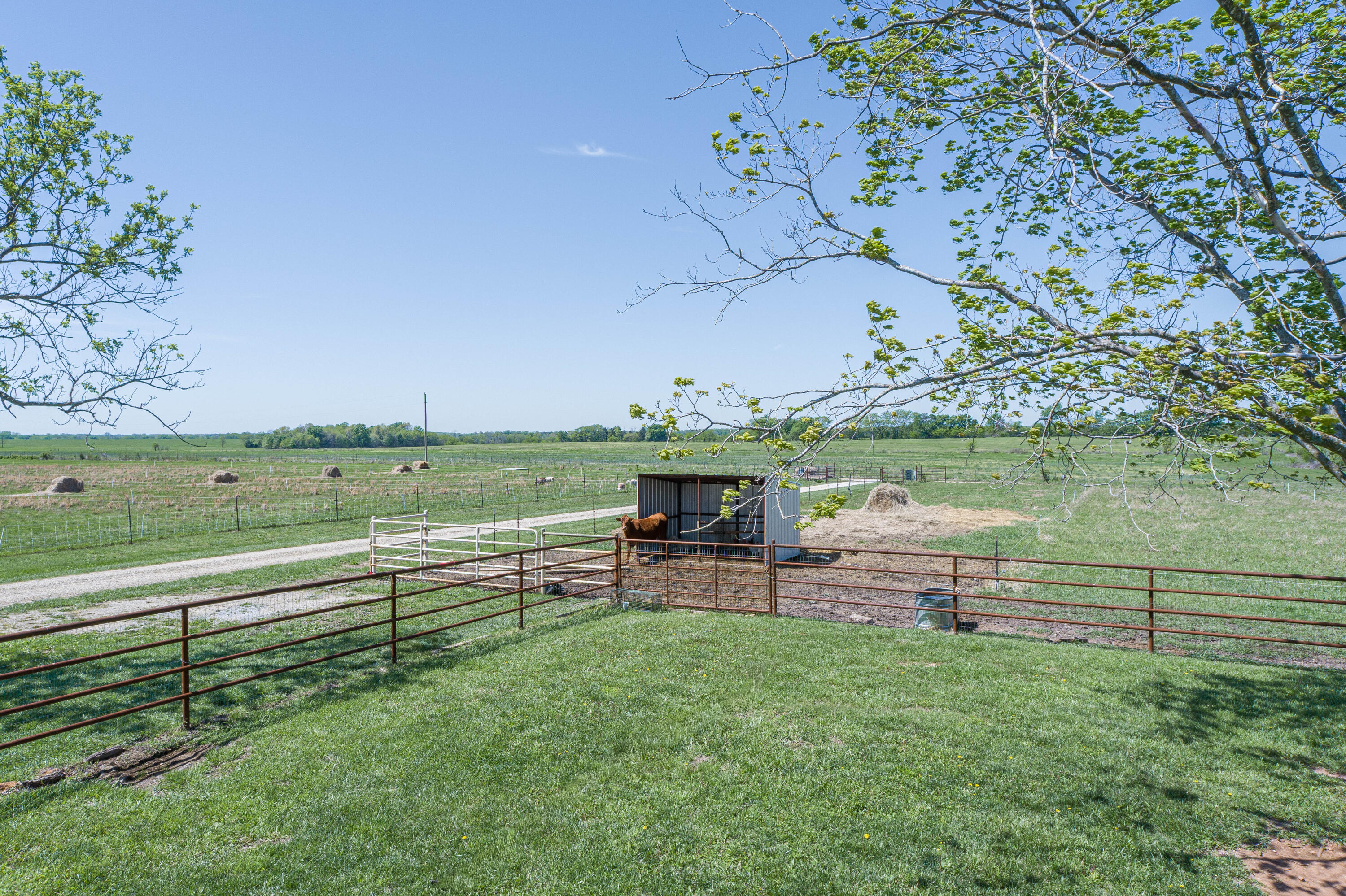 15959 County Road 121 Property Photo 41