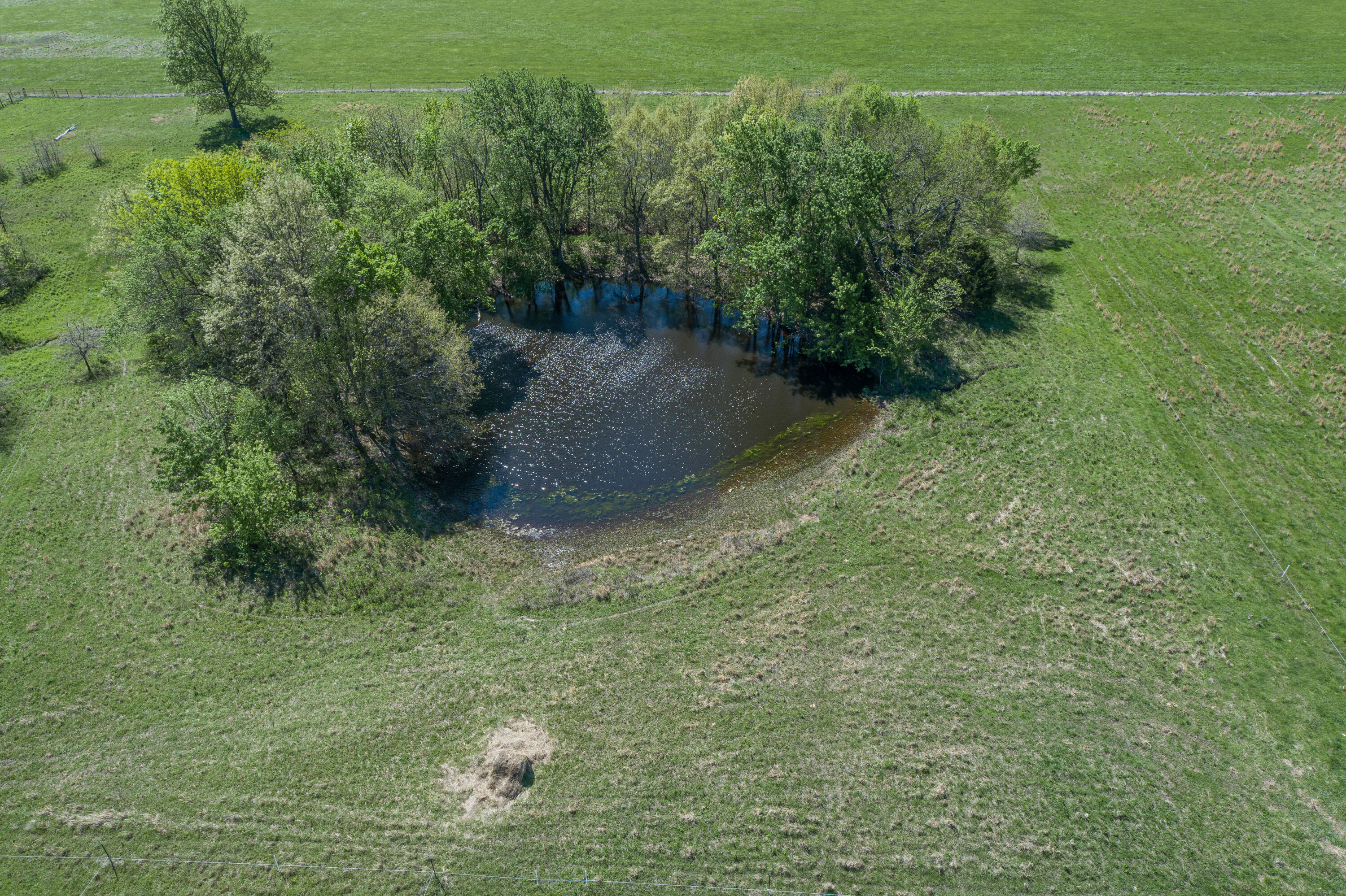 15959 County Road 121 Property Photo 49