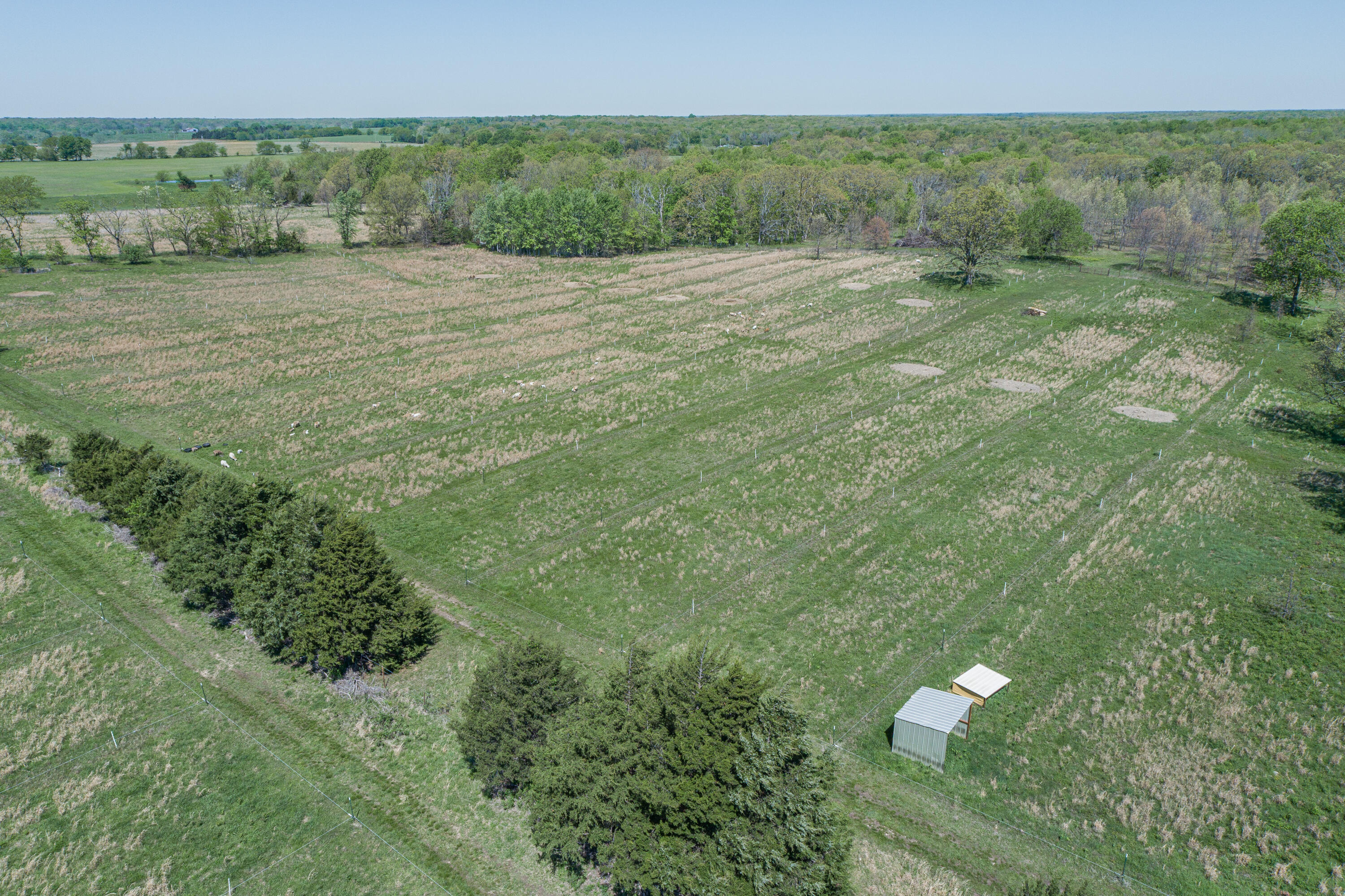 15959 County Road 121 Property Photo 51