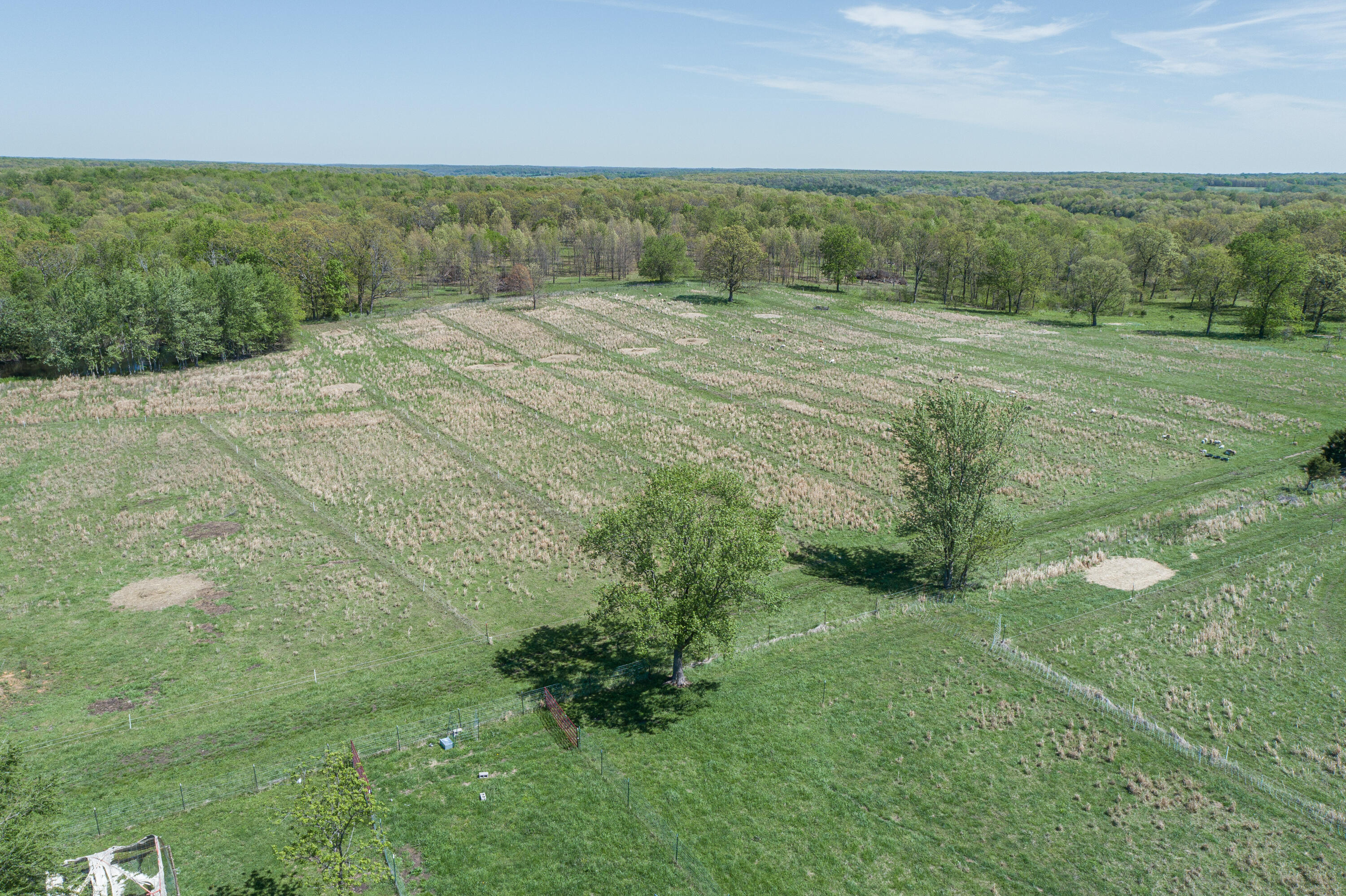 15959 County Road 121 Property Photo 53