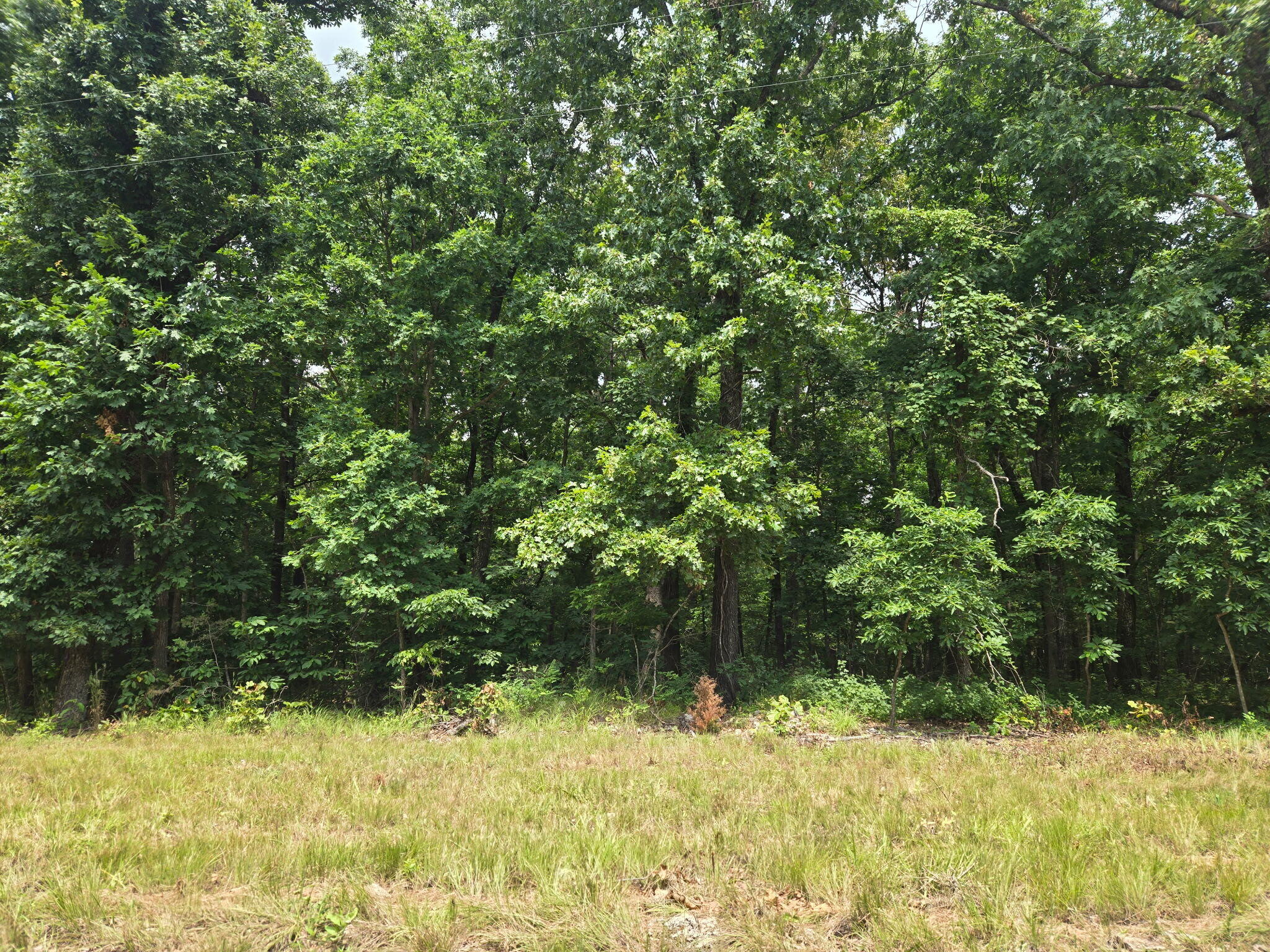 001 Muleshoe Trail Property Photo 1