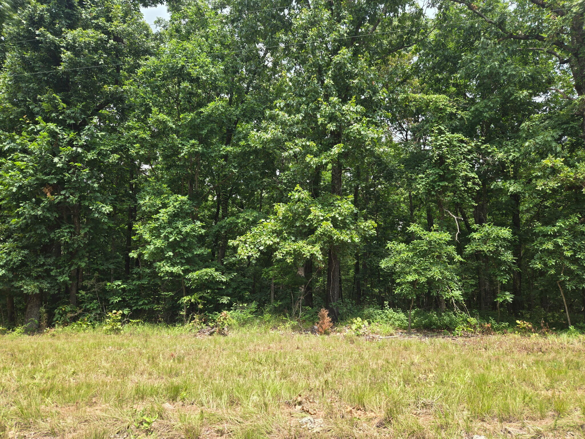 001 Muleshoe Trail Property Photo 4