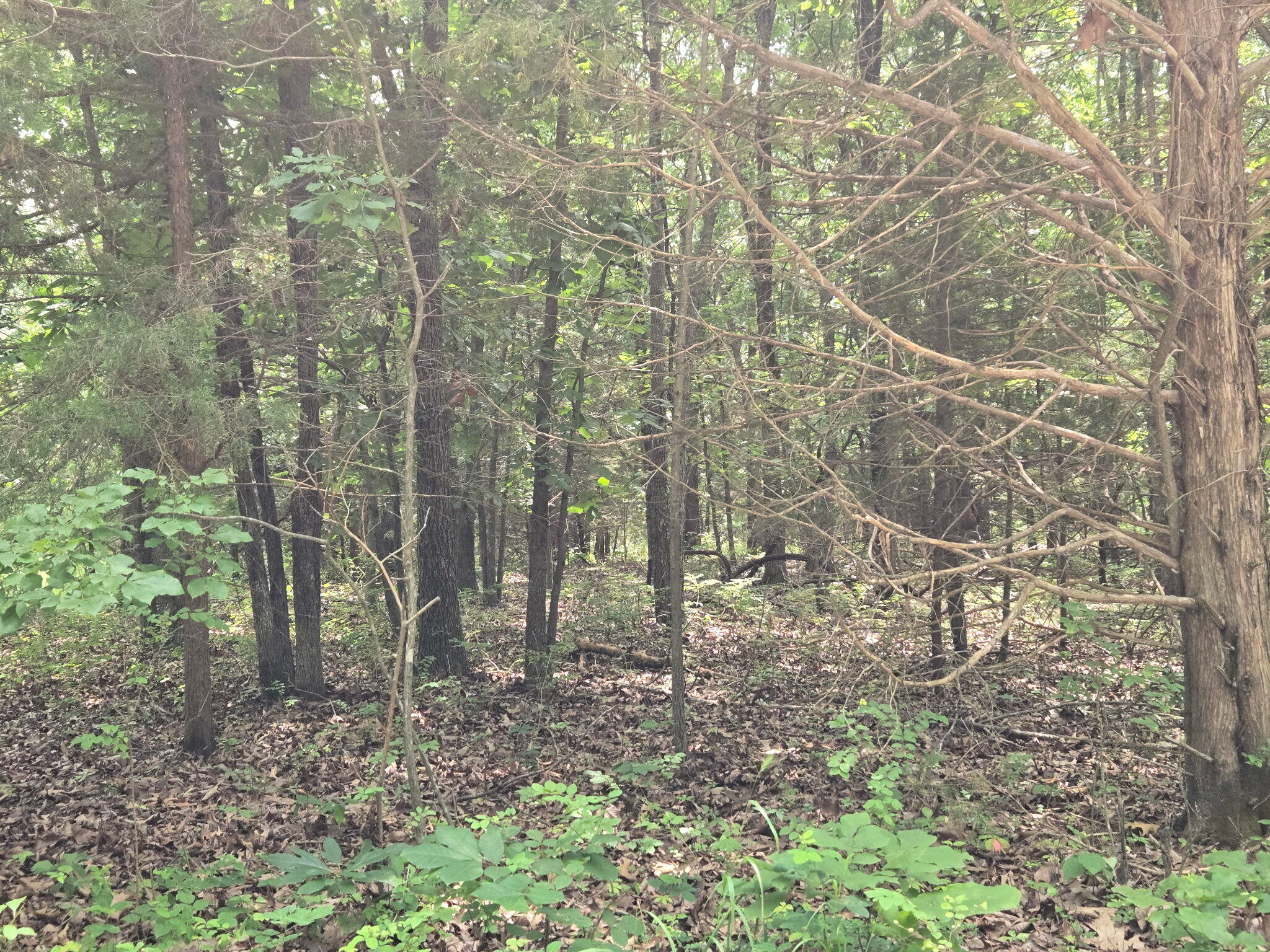 002 Muleshoe Trail 002 Property Photo 1