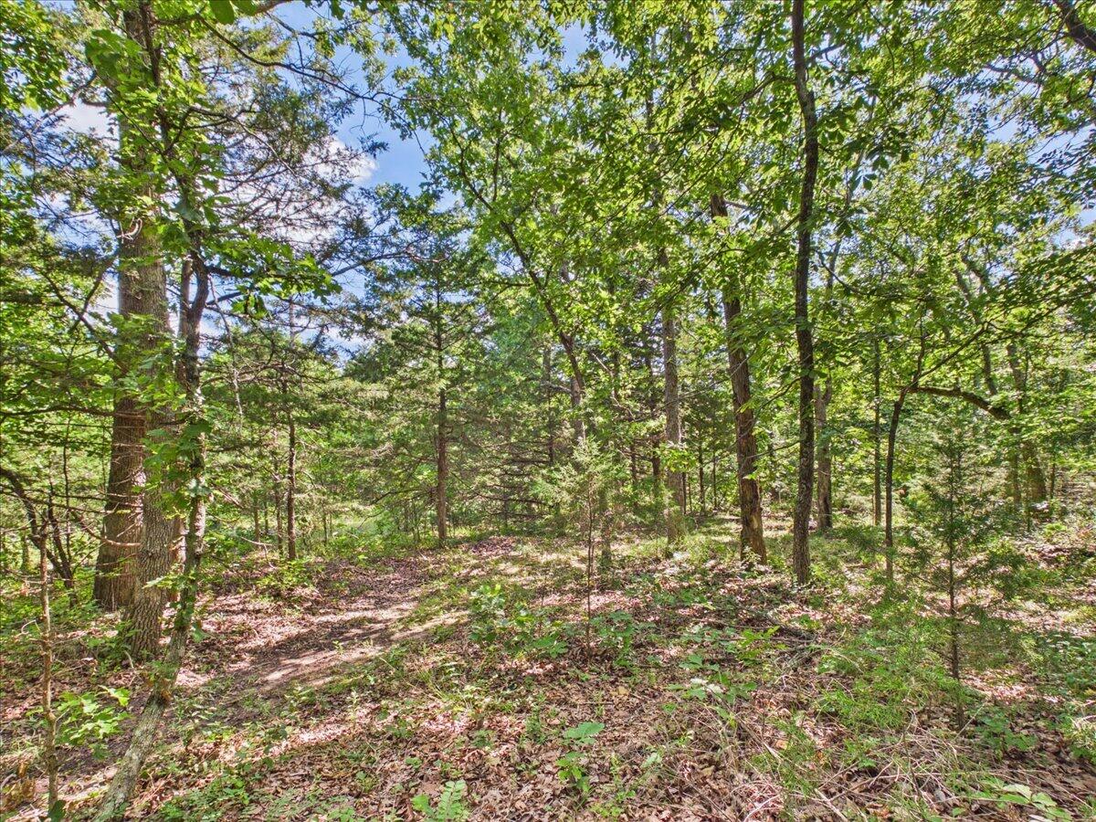 37 Middle Earth Trail Property Photo 73