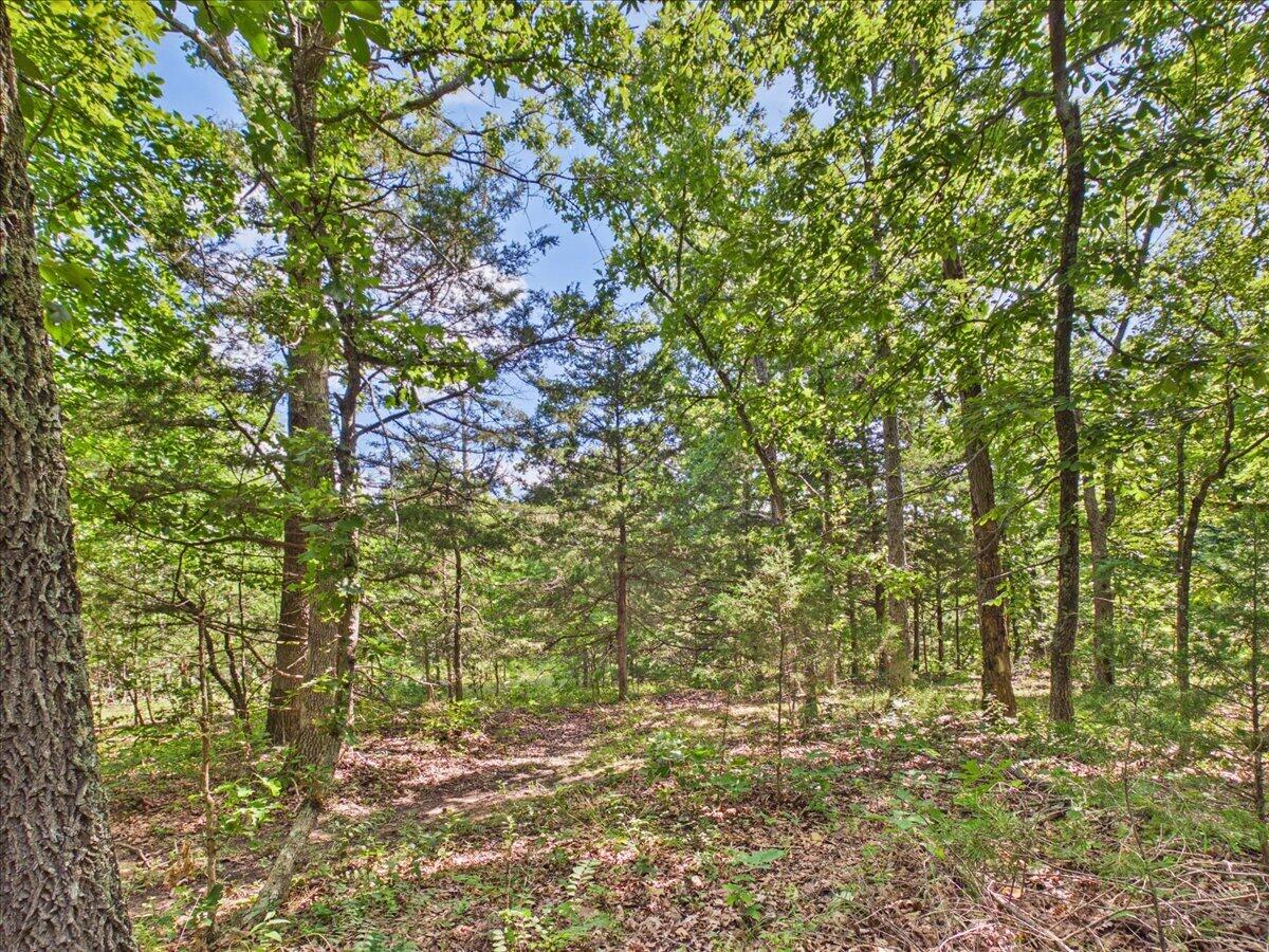 37 Middle Earth Trail Property Photo 74