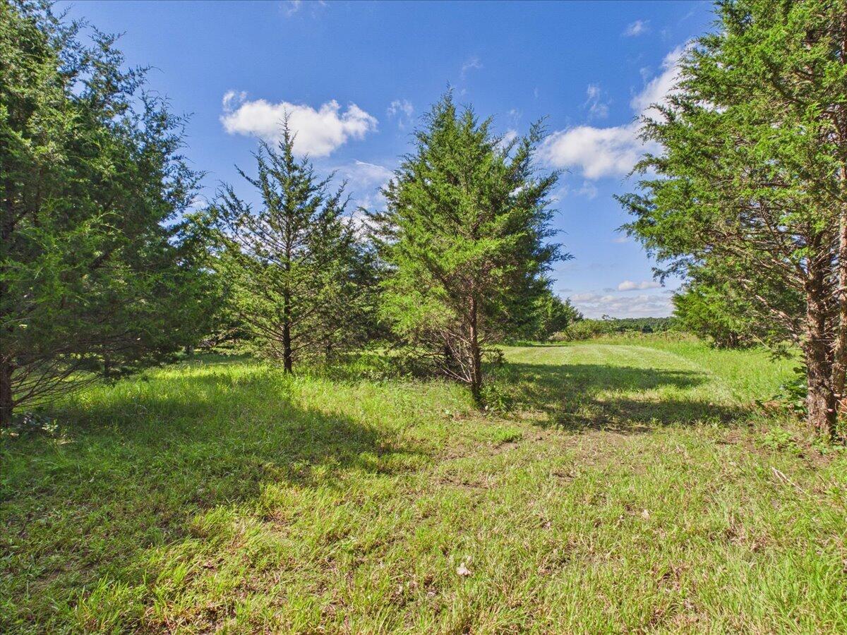 37 Middle Earth Trail Property Photo 76