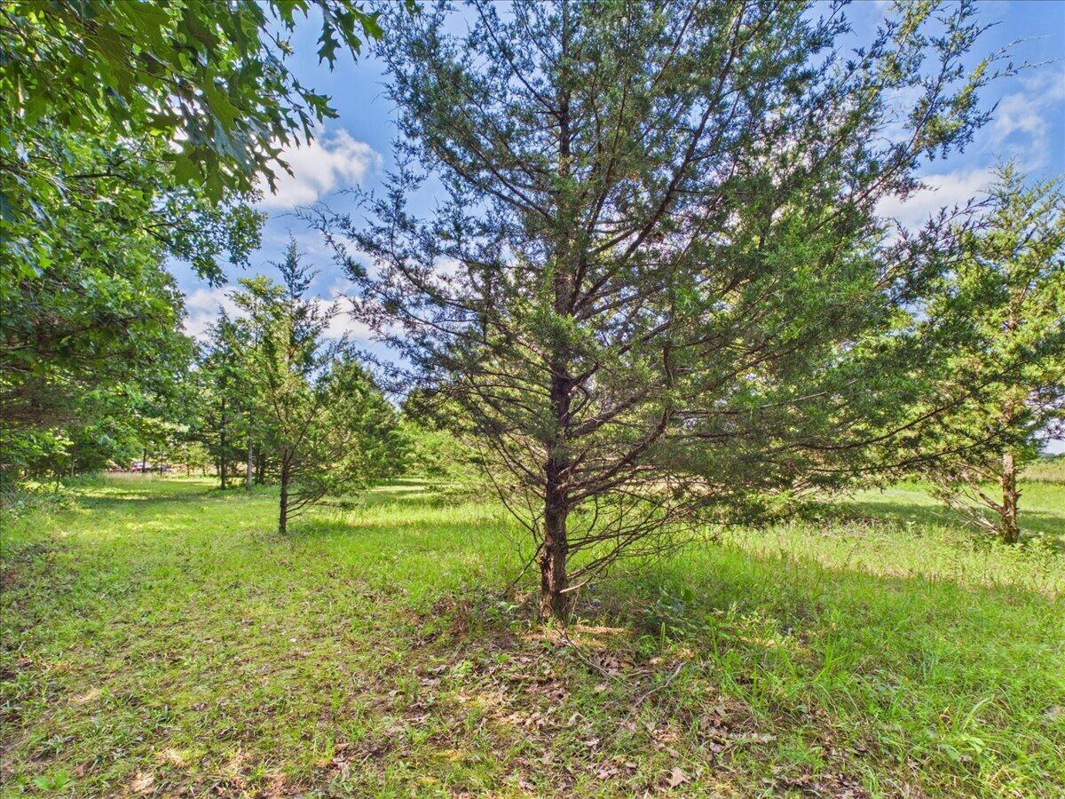 37 Middle Earth Trail Property Photo 77