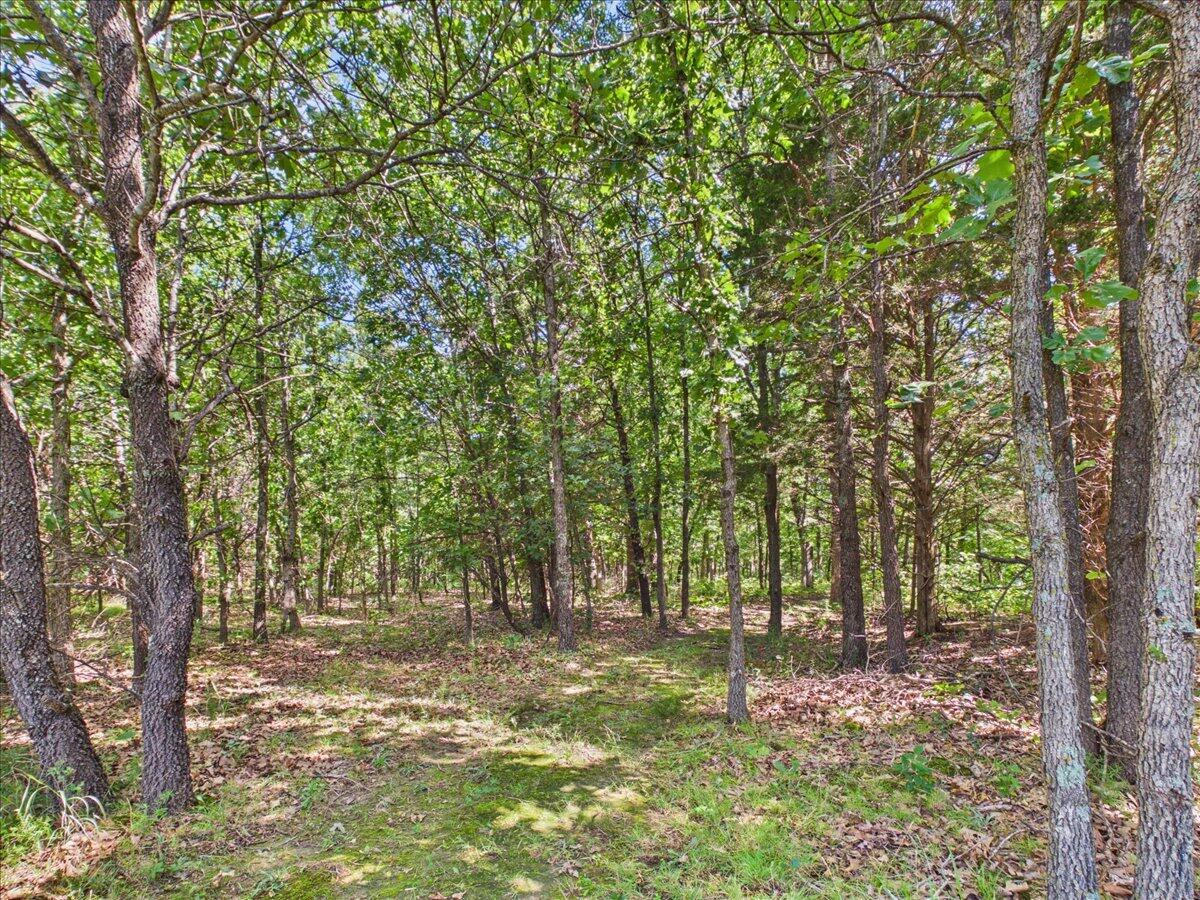 37 Middle Earth Trail Property Photo 78