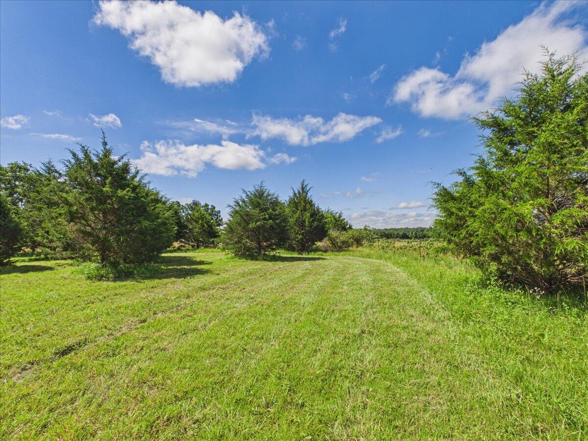 37 Middle Earth Trail Property Photo 79